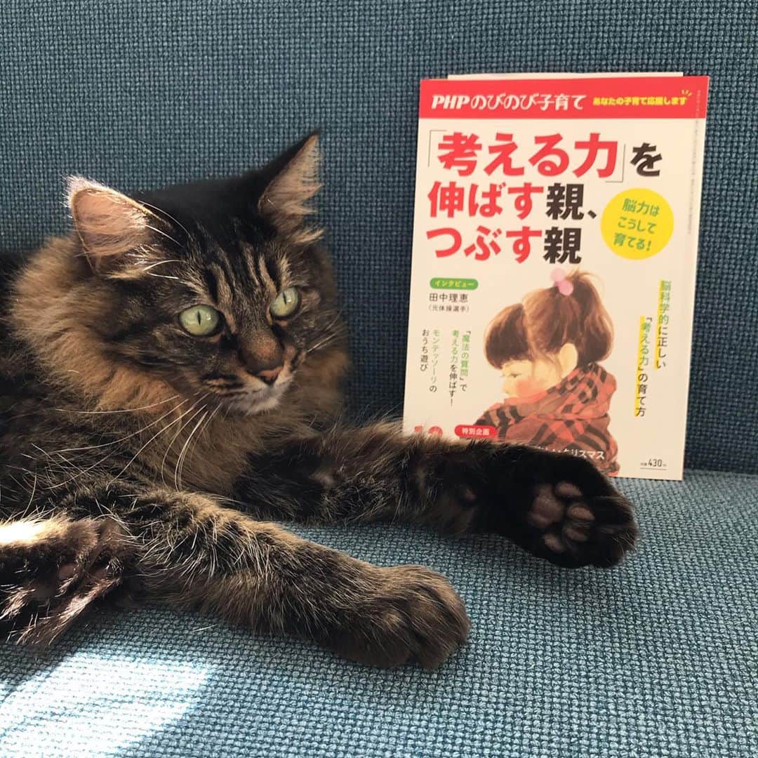 やまもとりえのインスタグラム：「「PHPのびのび子育て」と「こぐまのともだち」どちらの連載も今回が最終回でございます。「息子かわいいかわいい」ばかり言ってる漫画でしたが1年間ありがとうございました☺️」