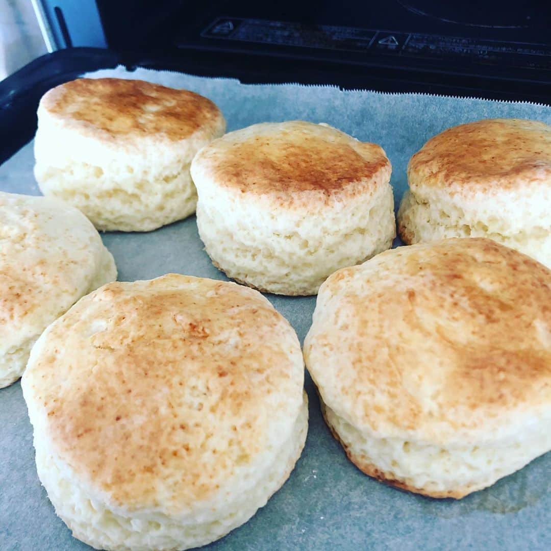 佐竹海莉のインスタグラム：「今日のブランチは、シンプルなイングリッシュスコーンを焼きました。  #佐竹洋菓子店」