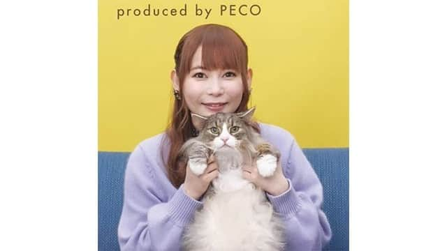 PECOねこ部のインスタグラム