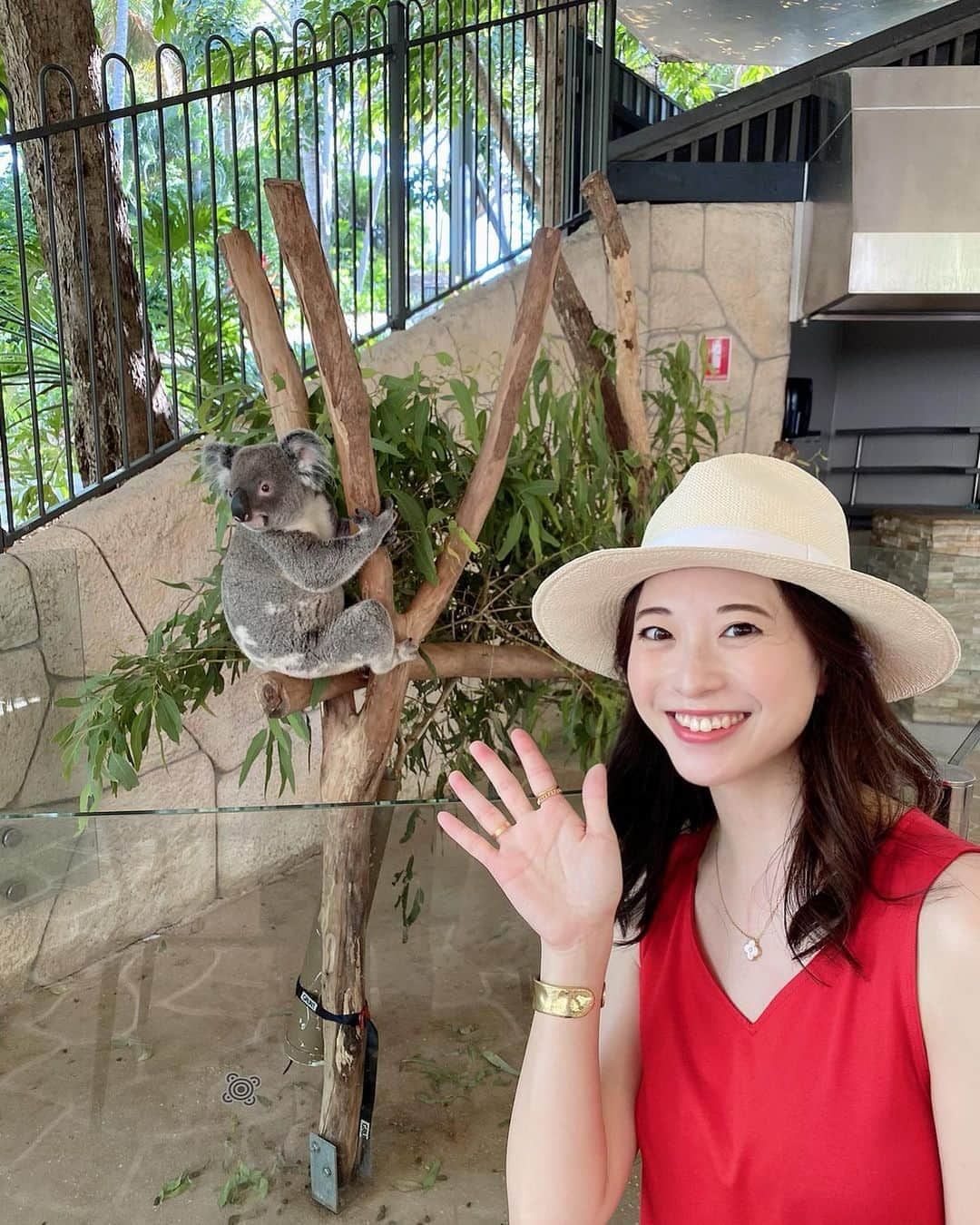 稀鳥まりやさんのインスタグラム写真 - (稀鳥まりやInstagram)「・ ・ Hamilton Island Wildlife Parkでキュートなコアラちゃんに出会えました🐨 コアラって何度見ても癒されるわー😚 カメラ目線くれた💕 そしてマリーナを散策しつつ、Fish & chipsを食べました。お魚がジューシーで美味しい🤤 夕方はキャツアイビーチをのんびりお散歩。ハミルトン島はとても小さい島なので徒歩でもokですが、とにかく暑いので移動は無料のバスかバギーをレンタルする事をおすすめします👍 ・ ・ #hamiltonisland #ハミルトン島」11月5日 12時58分 - mariya_kitori