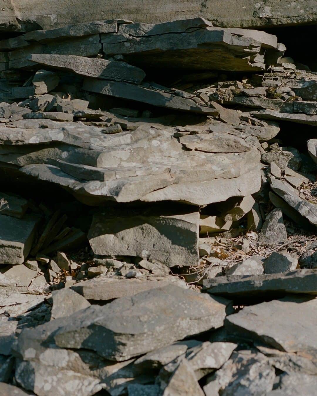 パラジャンパーズさんのインスタグラム写真 - (パラジャンパーズInstagram)「Catskills, New York. 42.0093° N, 74.3821° W   Layers of stones on the riverbank.  Layers of time on the body. Layers of warmth on the skin.   #ForYourJourney  #FallWinter2020 #FallWinterCollection #Catskills #ForYourJourney #ManCollection #NewCollection #PJS #PJSFriends #Parajumpers #Outerwear #FW2020 #FW20 #NaturalLandscape #Adventure #Inspiring #BeBold #Curious #Brave #TheJourney #TheDestination」11月5日 13時00分 - parajumpers_official
