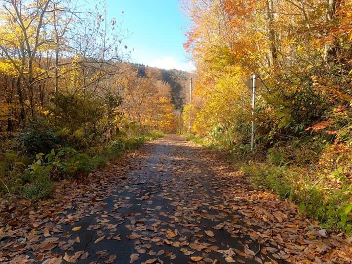 山人のグルメインスタ