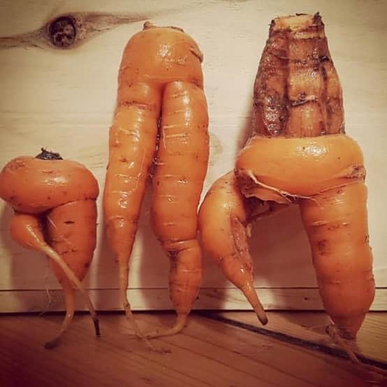 uglyfruitandvegのインスタグラム：「Carrots be waiting for the U.S. election like “democracy or no?” #Vote #Vote2020 #BidenHarris #ThisIsNerveWracking #ElectionWeek IG Pic by @jumel.s」