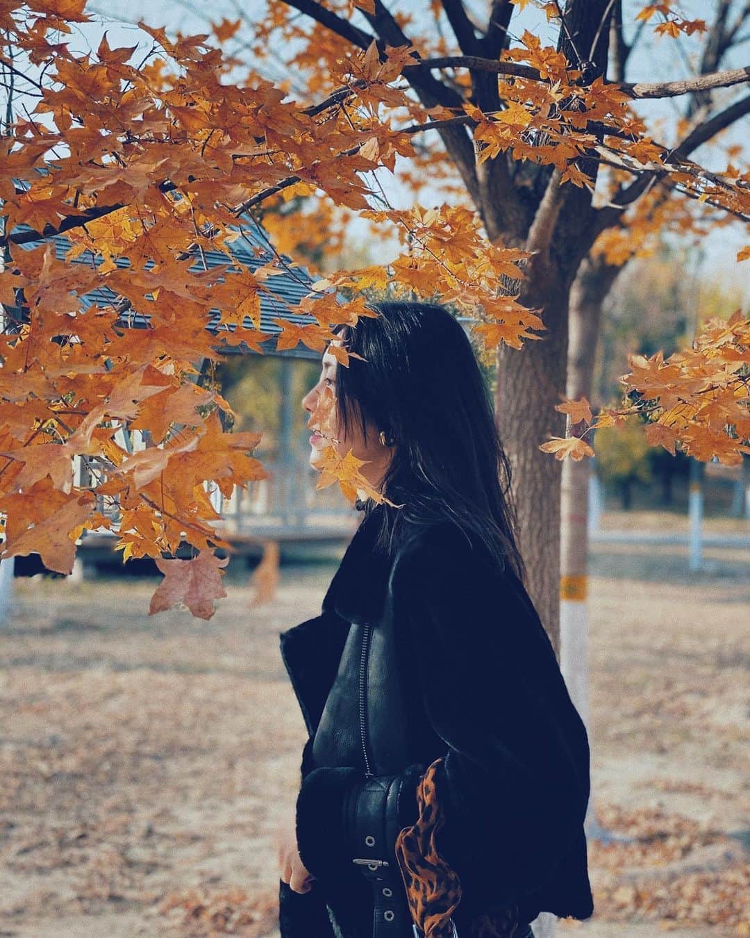 リウ・ウェンのインスタグラム：「🍃➡️🍂」