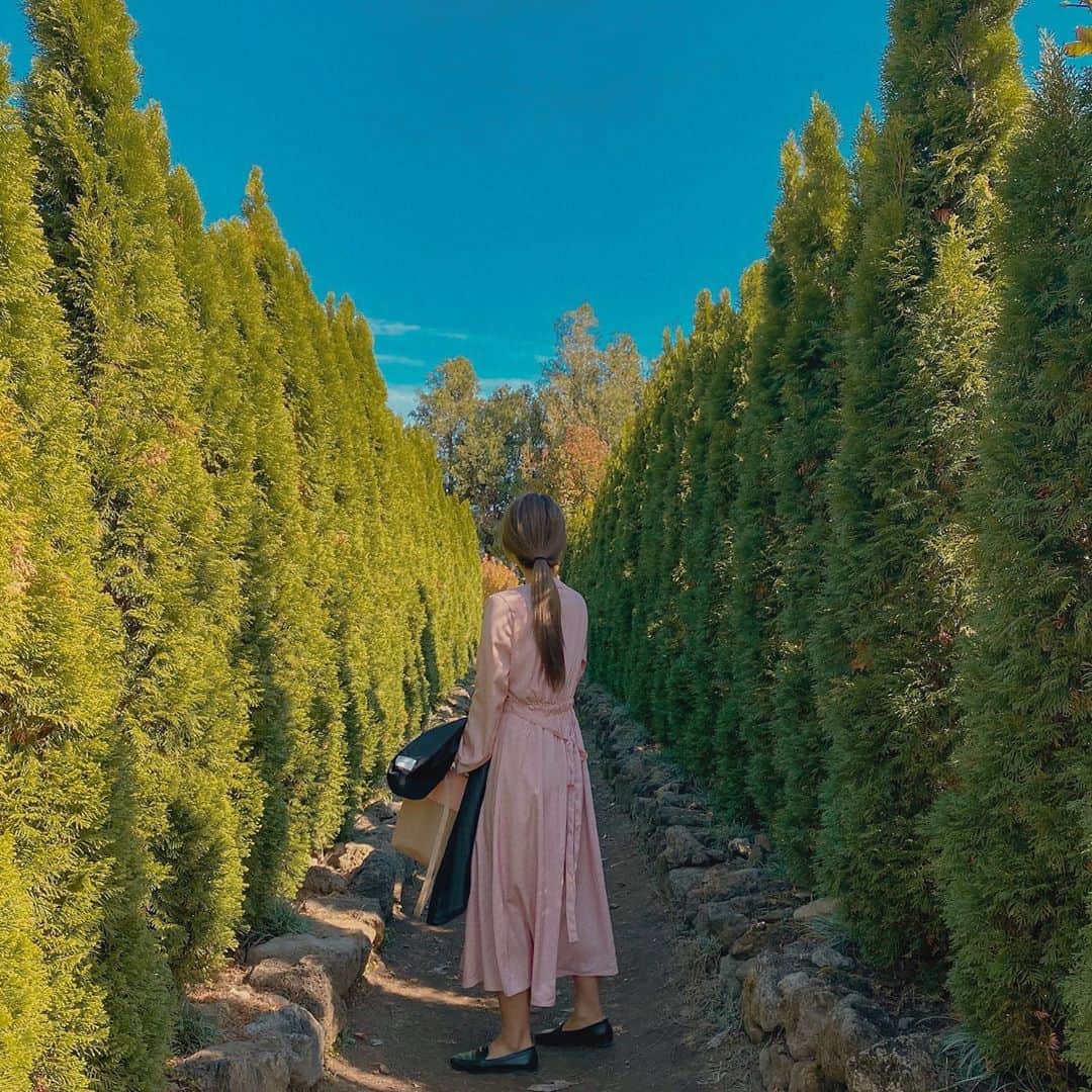 キム・ダヘのインスタグラム：「🌳🌳 오늘 날씨 짱좋아요 어제까지 겨울이더니 갑자기 봄날씨...!!!」