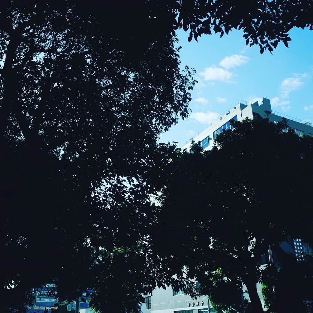 菅波栄純さんのインスタグラム写真 - (菅波栄純Instagram)「こういう、影の隙間に空が見えてる光景が好きなんですよ〜😍みなさんはどんな感じが好きですかっ？？ #gr #eyeem」11月5日 13時55分 - eijun_suganami_thebackhorn