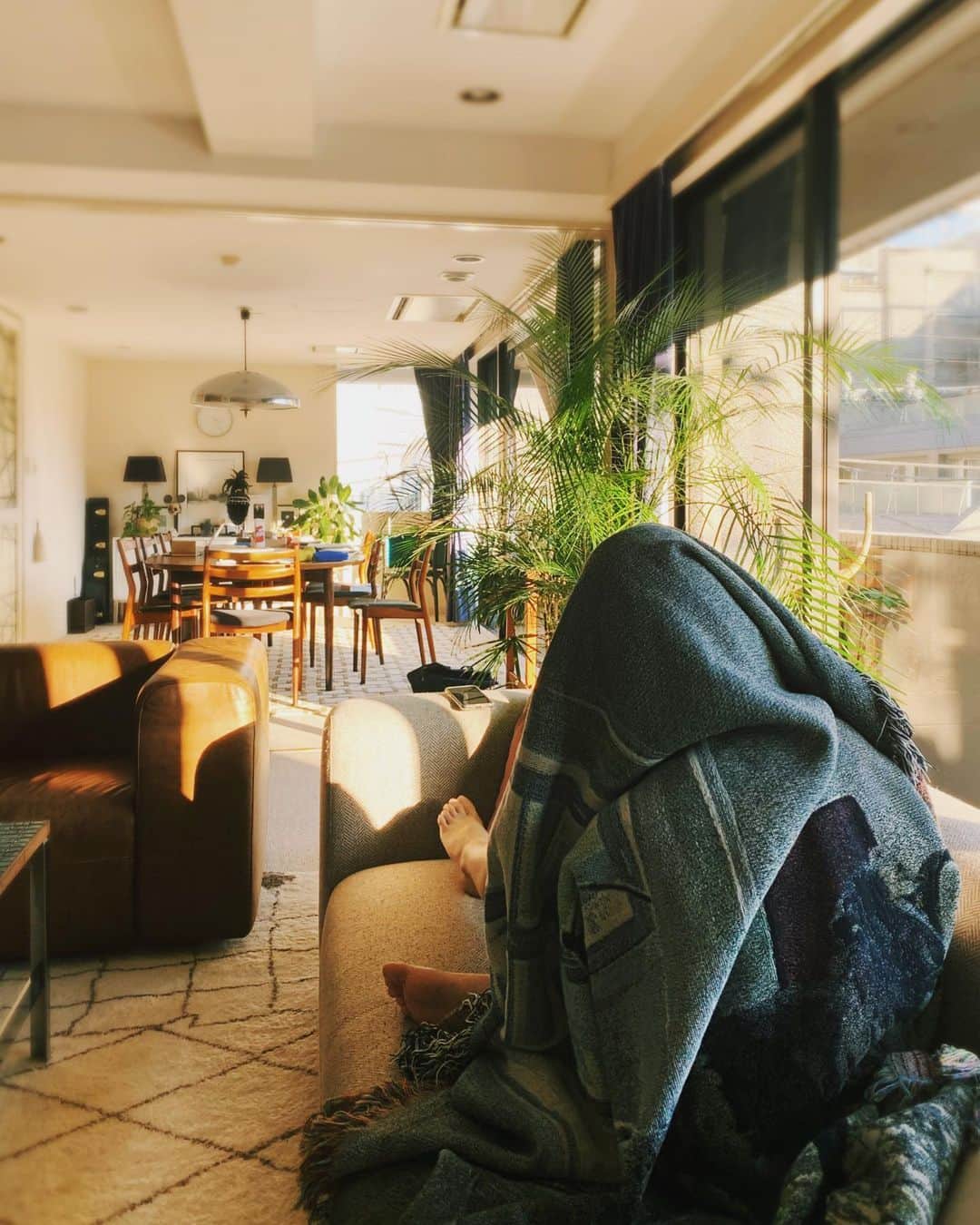 Yoshiko Kris-Webb クリス-ウェブ佳子さんのインスタグラム写真 - (Yoshiko Kris-Webb クリス-ウェブ佳子Instagram)「陽だまりびんぐ、Nice and Warm #ykwhome」11月5日 14時03分 - tokyodame