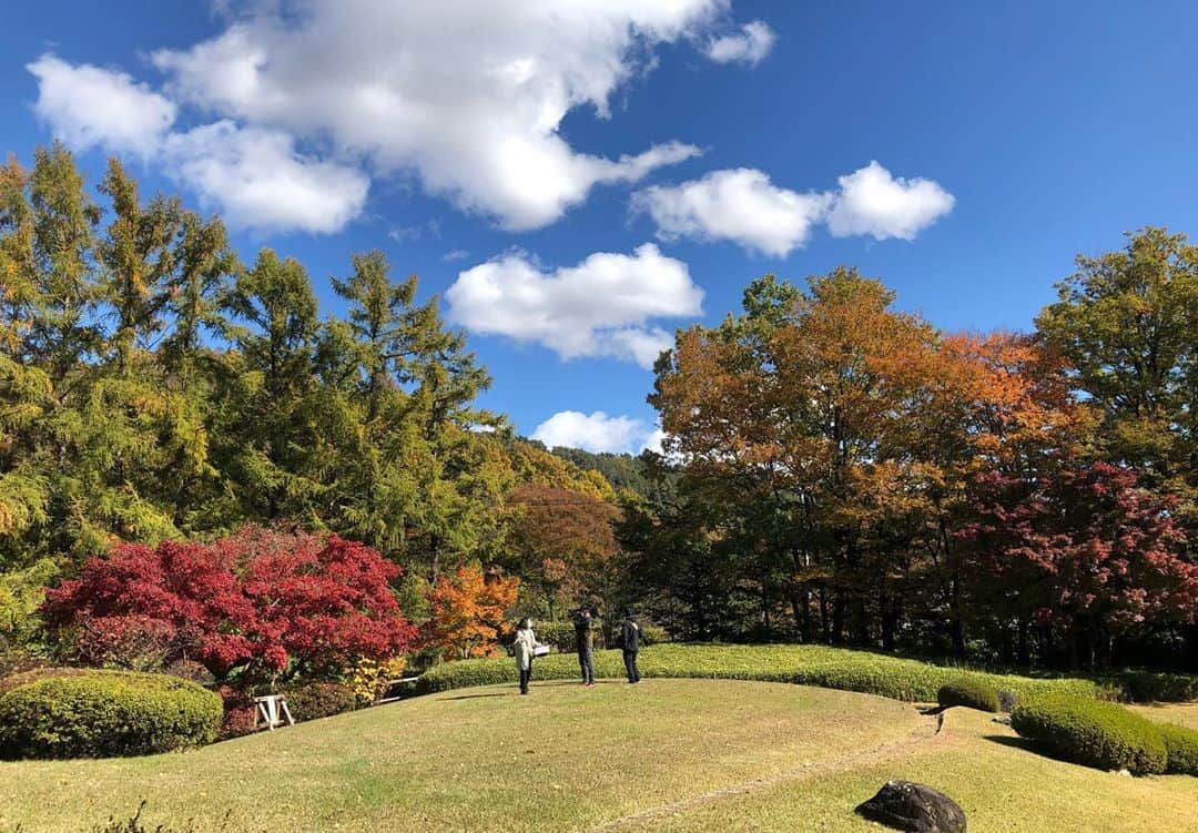 橋本梨菜さんのインスタグラム写真 - (橋本梨菜Instagram)「めちゃくちゃロケ日和！ 紅葉もすごい🍁😳😳😳 　  空気が澄んでてとっても気持ちいいよ〜🍃🌴ただ薄着すぎた、、 割と、いつもやけど笑  お昼からワインをのんでとっても楽しいロケでした〜🍷🙈  昨日も今日も長野は寒かったぁあ、、☃️  ぁあ〜楽しいロケってホンマに最高です。ありがたいなぁ😚  ホテルにサウナついてるのも、より最高なんだよなぁ〜♨️🐒  ただ長野寒すぎてマウスシールドずっと曇ってた笑  紅葉🍁がたまらんっ🍄 松茸とか銀杏とか美味しい季節よね〜ぁあサンマも食べたいね  オンエアは月末✌️」11月6日 1時47分 - hashimoto_rina_