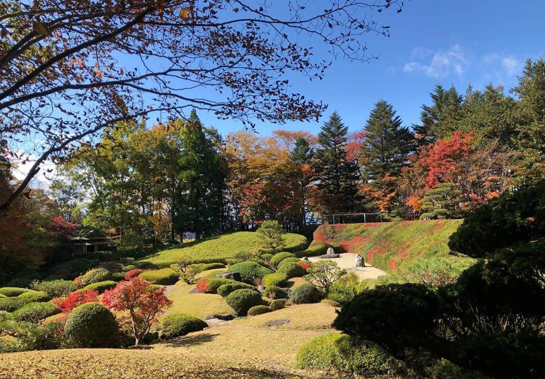 橋本梨菜さんのインスタグラム写真 - (橋本梨菜Instagram)「めちゃくちゃロケ日和！ 紅葉もすごい🍁😳😳😳 　  空気が澄んでてとっても気持ちいいよ〜🍃🌴ただ薄着すぎた、、 割と、いつもやけど笑  お昼からワインをのんでとっても楽しいロケでした〜🍷🙈  昨日も今日も長野は寒かったぁあ、、☃️  ぁあ〜楽しいロケってホンマに最高です。ありがたいなぁ😚  ホテルにサウナついてるのも、より最高なんだよなぁ〜♨️🐒  ただ長野寒すぎてマウスシールドずっと曇ってた笑  紅葉🍁がたまらんっ🍄 松茸とか銀杏とか美味しい季節よね〜ぁあサンマも食べたいね  オンエアは月末✌️」11月6日 1時47分 - hashimoto_rina_