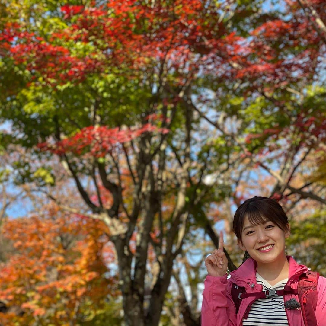 尾崎里紗さんのインスタグラム写真 - (尾崎里紗Instagram)「高尾山登山ロケ第一弾、 本日放送されました🗻✨  山頂に近づくほど 紅葉が深まっていて、 空気もひんやり気持ちよかった…  高尾山といえばお団子だよ！と教えてもらい、 絶対食べると決めていた十穀力団子 （最高の映え写真…🤤） 山中はたくさんどんぐりが落ちていたり イノシシが掘った土の跡が残っていたり、 初登山は発見がたくさんありました。 あぁ、癒された…😌  . #第一弾ということで #来週第二弾が放送されます #奥高尾でおにぎり食べてます🍙　 #なめこ汁も食べてます #あと、、　 #とにかく色々食べてます #山グルメ最強🍚」11月5日 17時57分 - ozaki.risa