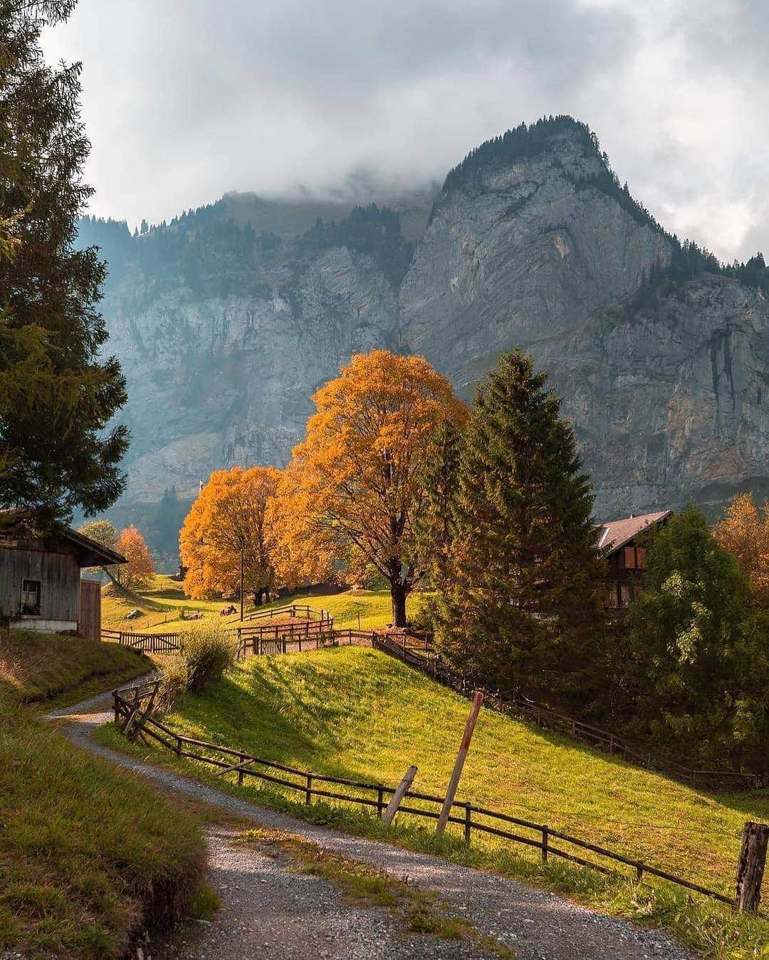 BEAUTIFUL DESTINATIONSさんのインスタグラム写真 - (BEAUTIFUL DESTINATIONSInstagram)「Beautiful in all seasons.🇨🇭 Autumn in Switzerland is the best time for hiking, strolling across verdant fields, and simply being outdoors. It isn't hard to believe that it's one of the most photogenic destinations to exist—this photo set proves it! 😍  From 1-10, which spot is your favorite? 1. Lauterbrunnen  2. Kandersteg 3. Wallis, Valais  4. Bernese Highlands 5. Vernamiege  6. Unknown 👀 7. Grindelwald 8. Wengen 9. Malbun 10. Lake Thun   Bookmark this for reference and tag who you'd take here!  📸 @amir_asani13 📍 Switzerland」11月5日 18時08分 - beautifuldestinations