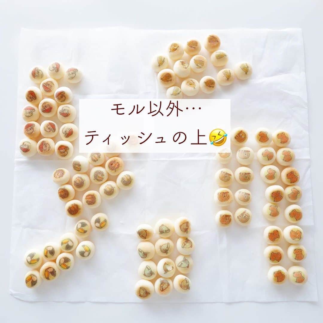 satomi?さんのインスタグラム写真 - (satomi?Instagram)「*2020.11.05*  お買い物記録🍪 #カワスイ  1.2枚目 以前焼いたパン(別version) パンはツヤツヤにすると 美味しそうに見えるね✨  #satomiキャラパン #satomi_rilakkuma」11月5日 18時08分 - satomi_0819