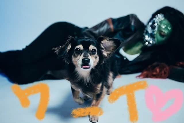小柳ゆきのインスタグラム：「既にお知らせしてますが12/5ファンクラブイベントやりますワーイ🥳 どうしても年内中にファンの方々にお会いしたく万全の感染症対策の上、開催致します。  完全なるリクエストライブ！ どんなリクエスト曲がくるかワクワクです🧡  dreamerに会えるのを楽しみにしてます😊  詳細 https://bit.ly/38d9NNS」