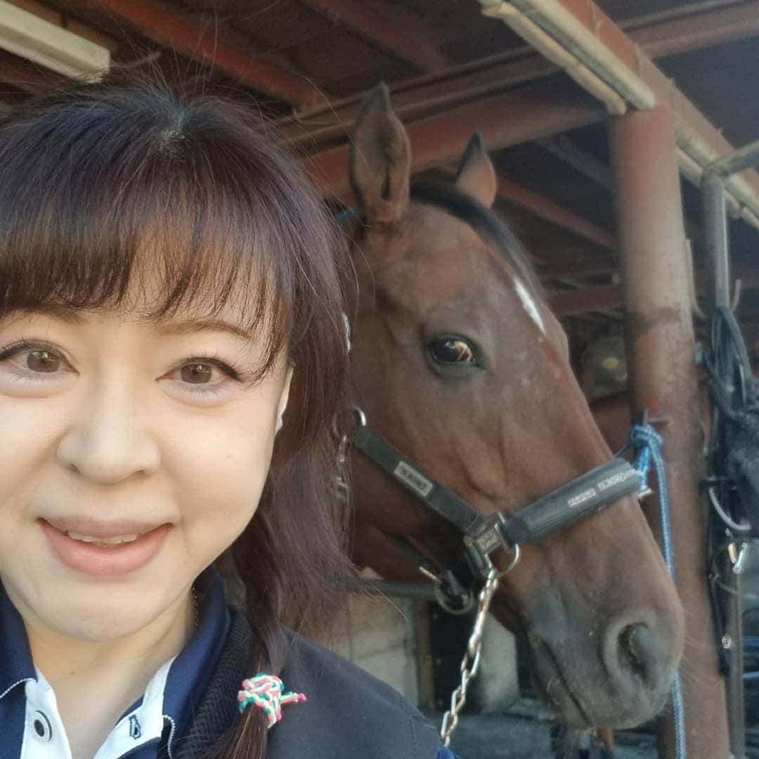 のインスタグラム：「今日の相棒は、フレディ。フレ、チラ見のカメラ目線。」