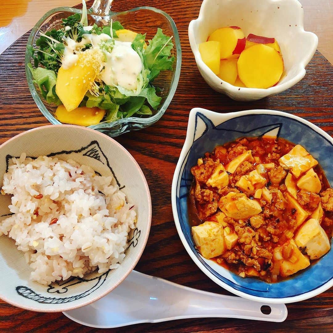 星那美月さんのインスタグラム写真 - (星那美月Instagram)「夜ご飯☺️kazさんに貰った豆板醤使ってみたくてまた麻婆豆腐作ったの🐼美味しいー、程よくピリ辛🔥  #dinner #おうちごはん」11月5日 18時48分 - mitsukihoshina