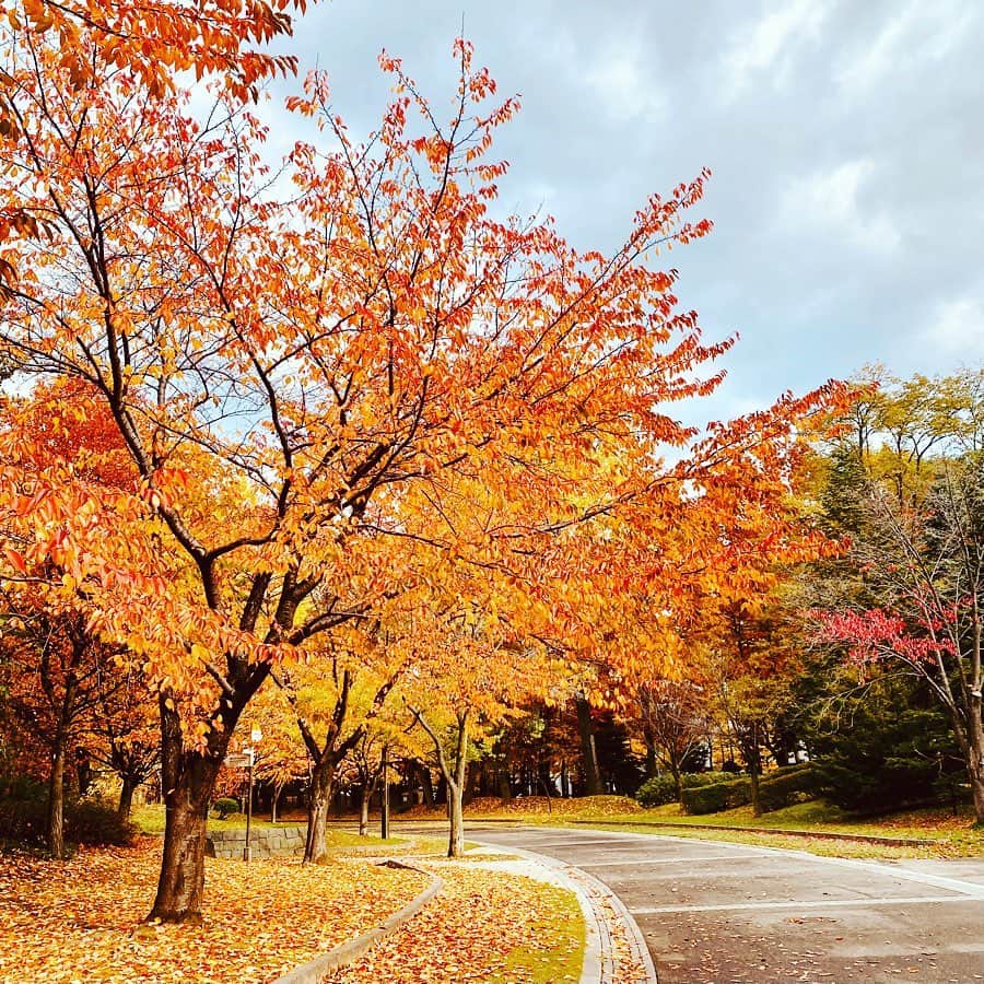 神田昭一のインスタグラム：「紅葉シーズンももうすぐおしまい  #季節の曲がり角 #札幌はきのう初雪 #来週は積雪 #中島公園 #HTB #イチオシ #空とハイタッチ #気象予報士 #神田昭一」