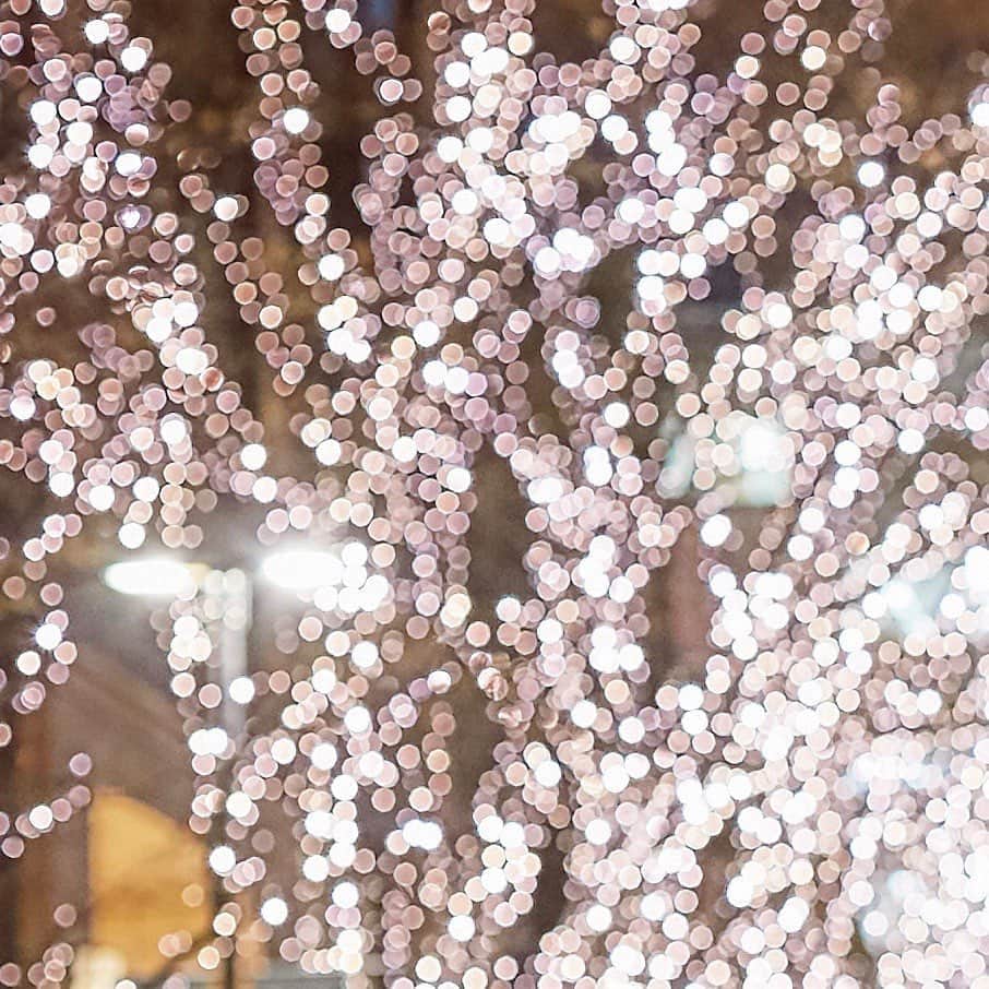 Felice Vita × Bellissimaのインスタグラム