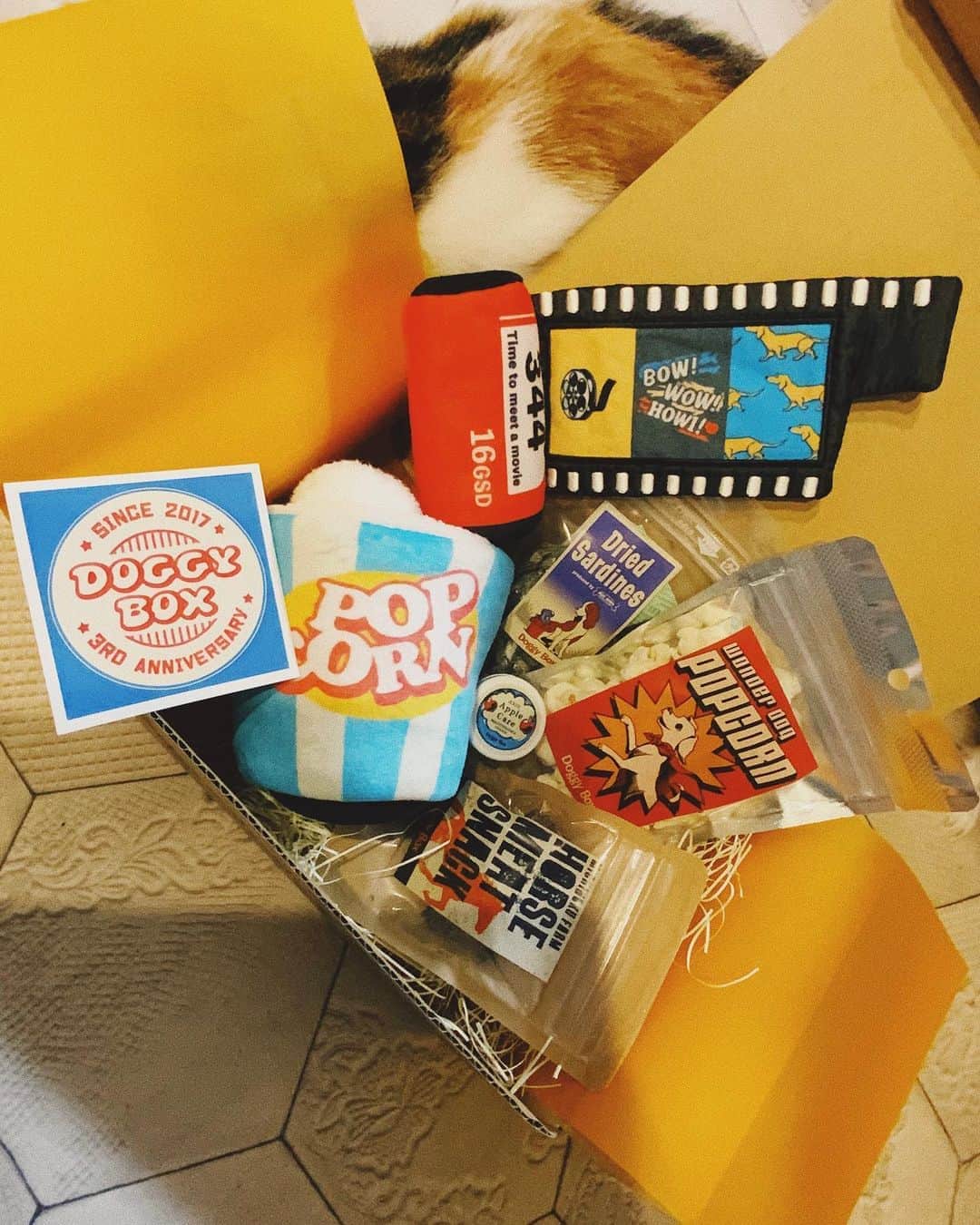 juntowaさんのインスタグラム写真 - (juntowaInstagram)「@doggybox_jp  いつもお洒落でかわいいおもちゃと オヤツが入っていて、飼い主も開けるのが楽しみなBOXだよー！  みんなは早速 可愛いパッケージの ポップコーンに夢中🍿  #doggybox#ドギボ#pr」11月5日 19時08分 - juntowa