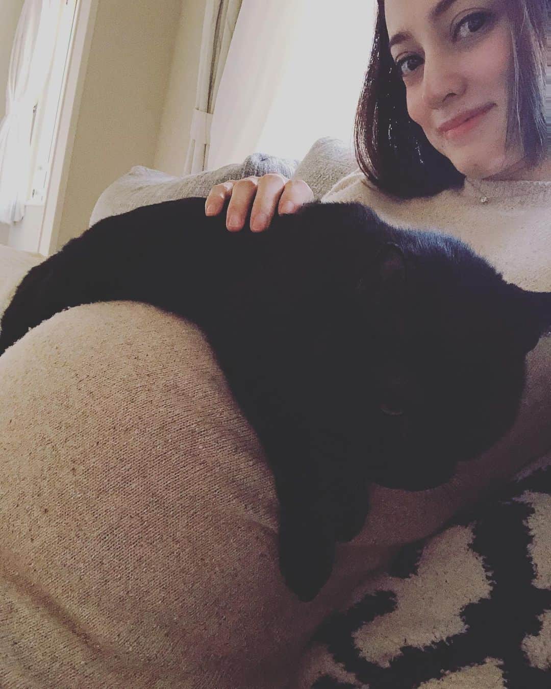 英玲奈のインスタグラム：「抱っこされたい影虎さんw お腹が大きくて思うように乗れないから、無理矢理胸下に乗ってくる。 足は2枚目の感じ。 絶対楽じゃないのにw ママは温かくて気持ち良いよ❤️ #猫 #妊娠10ヶ月 #抱っこ」