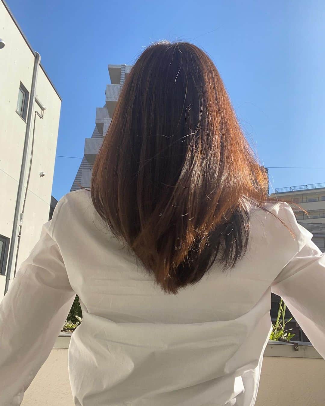 大政絢さんのインスタグラム写真 - (大政絢Instagram)「@hirotsukui  さんにカットとカラーを✂︎✨ 黒髪が続いていましたがほんのり明るく！気分が変わって嬉しい😆 ヒロさんいつもありがとうございます〜！！！」11月5日 19時27分 - aya_omasa_official