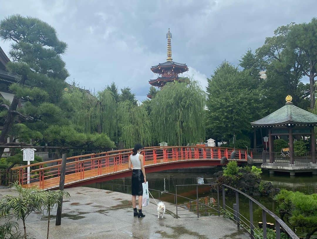 小山桃さんのインスタグラム写真 - (小山桃Instagram)「ぷぷとままと御祈祷行った時の⛩. この日すごく天気良かったり土砂降りなったりまた晴れたりで楽しい天気でぷぷも雨に打たれながらはしゃいでた🐶☔️✨」11月5日 19時34分 - momoko_pu