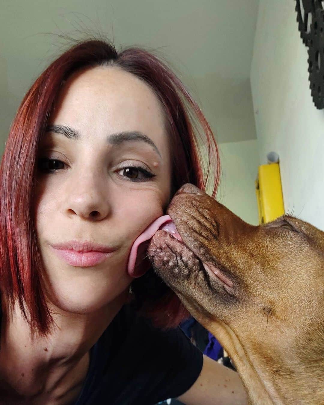 ニコーレ・デラ・モニカのインスタグラム：「L'amore puro 😅🤩🐾 #olimpiathestaffy #mydogisthecutest #tenerezza #amorepuro #dogsmom」