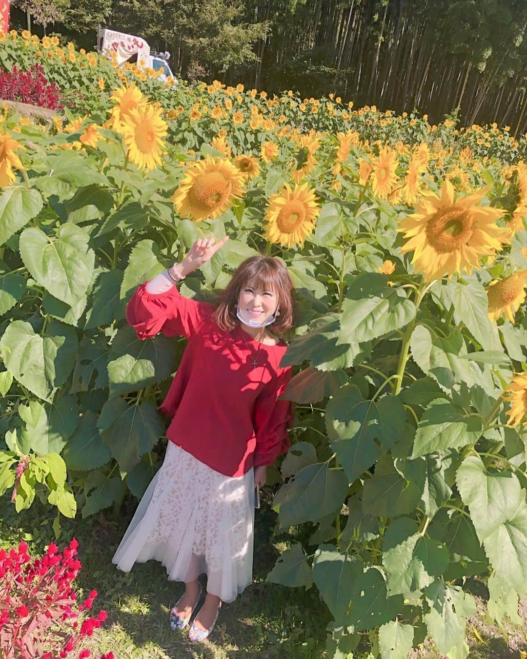 岩本初恵さんのインスタグラム写真 - (岩本初恵Instagram)「みやき町に行って来ました ひまわり🌻 最高でした  お客様にも沢山 会えました  サガテレビ前に 癒されました  今から自宅から ライブ配信  毎月30冊以上の本を 読むより学べると 言ってもらえてる オンラインサロン  貢献出来て 学べて 毎日アップして  ライブ配信に 経営学に 社内の勉強会に ご質問コーナーなど すぐ満員御礼になるほど 大人気になりました  １３期生募集は １２月に入って 又募集します  今からライブ配信 楽しみまーす  オンラインサロンの情報は インスタのプロフィールの リンクから ご覧いただけます  YouTubeチャンネルの はっちゃんアカデミーも 大好評です  父から教わって来た 生きる力 幸せな人生に なれるコツや 天風先生からの学びなど たくさんアップしております ぜひご覧くださいね  はっちゃんアカデミーも インスタのプロフィールの リンクから ご覧いただけます^_^  #みやき町 #みやき町女性活躍推薦大使 #ひまわり #冬に咲くひまわり  #今日のコーデ  #instagram  #instagood  #love  #fun  #happy  #学び #主婦と仕事の両立 #美容 #ダイエット #会話力 #講演力 #youtube #youtuber #はっちゃんアカデミー #ユーチューブ #動画編集 #youtuber好きな人と繋がりたい」11月5日 19時40分 - hatsue_iwamoto