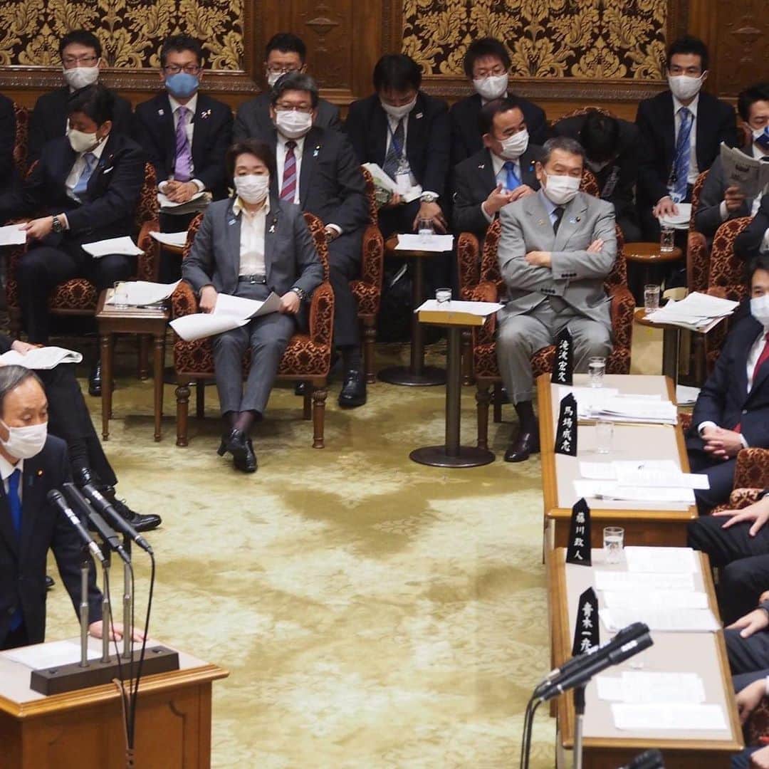 滝波宏文さんのインスタグラム写真 - (滝波宏文Instagram)「11月5日(木) 理事を務めます、参議院予算委員会に出席いたしました。」11月5日 19時41分 - hirofumitakinami
