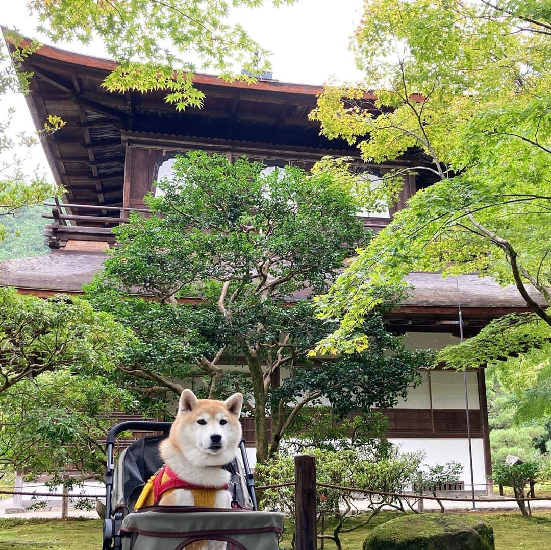 てんパパのインスタグラム