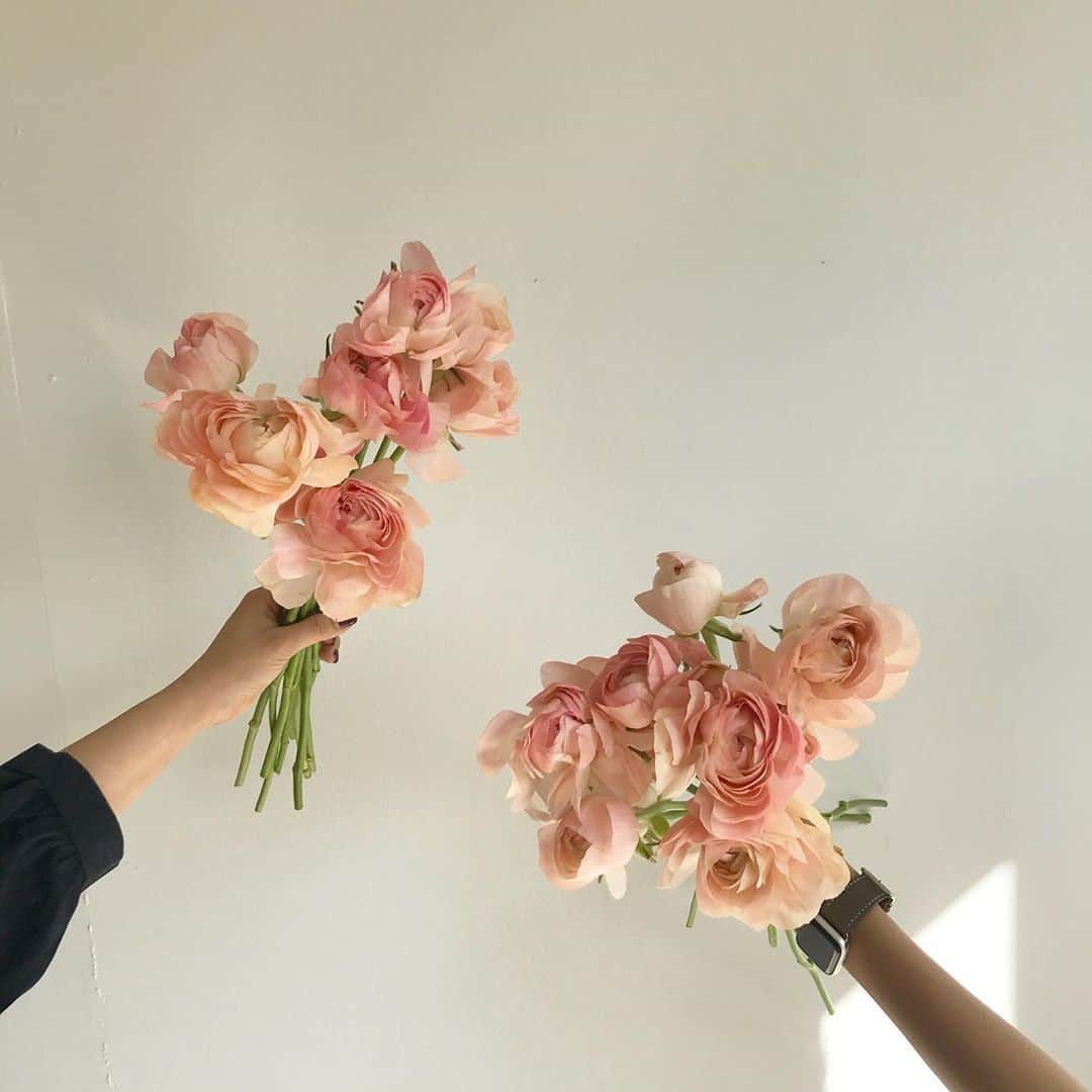 플로리스트 이주연 florist Lee Ju Yeonさんのインスタグラム写真 - (플로리스트 이주연 florist Lee Ju YeonInstagram)「. . 곧 러넌의 계절 🤍 하루지나야 더 이쁜 러넌  . #러넌큘러스  .  订花 WeChat ID vaness_flower 페이팔 결제 가능  클래스상시모집 당일꽃주문가능 . #수업문의 #주문예약 #lesson #Order  Katalk ID vaness52 WeChat ID vaness_flower E-mail vanessflower@naver.com . 서초구 양재천로 123 5층 📞02-545-6813 . #vanessflower #florist #flowershop #handtied #flowerlesson #花束 #바네스플라워 #플로리스트 #꽃다발 #부케 #플로리스트학원 #플라워레슨 #양재동꽃집 #양재역꽃집 #꽃다발주문 #꽃수업 #꽃주문  #대관 #공간대여 #스튜디오대관 #자연광스튜디오 #자연광스튜디오대관 #스튜디오」11月5日 19時49分 - vanessflower