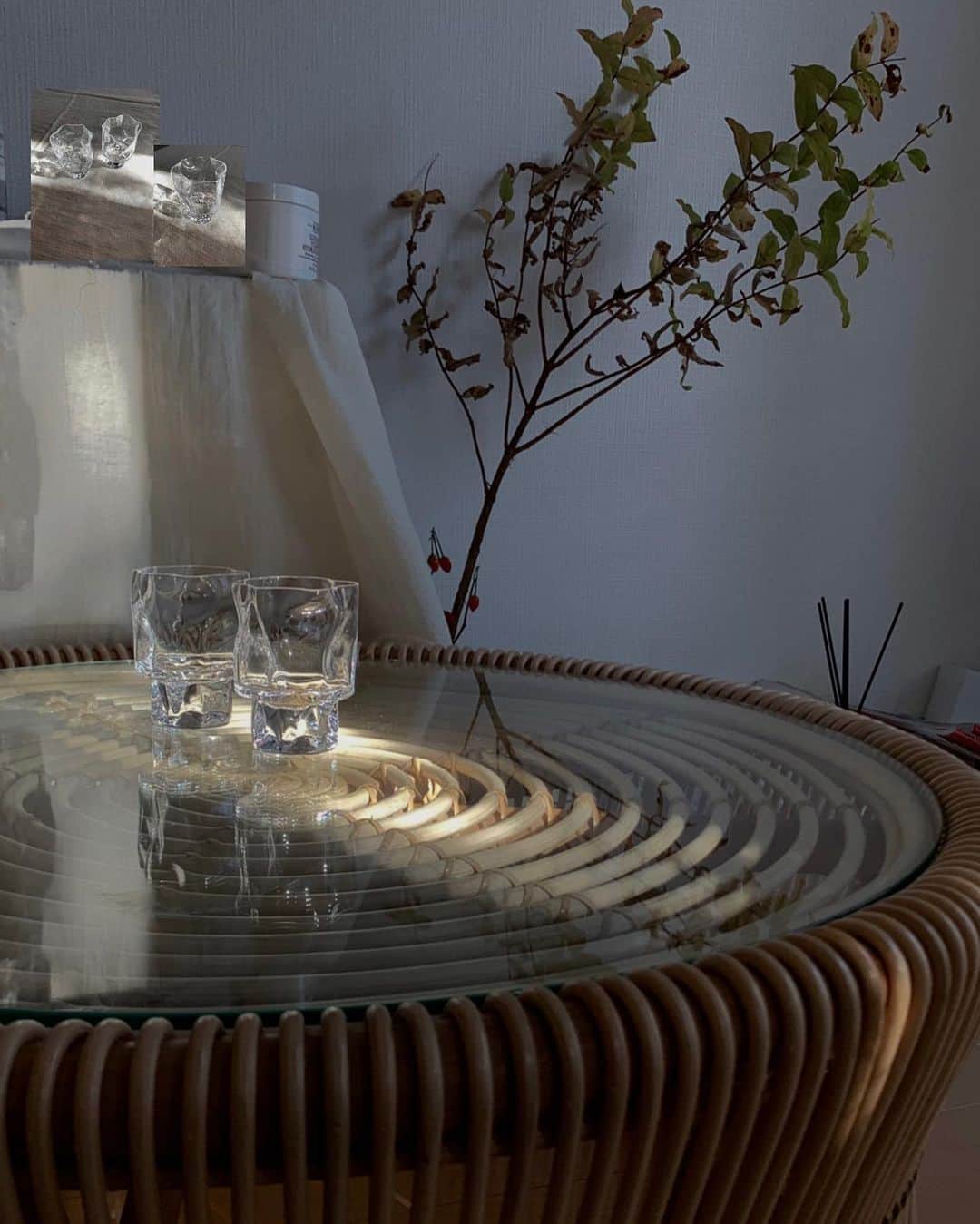 泉見祐希のインスタグラム：「. 新しく迎えたクランプルワイングラス光の入り方が本当にタイプ。 今年から初めてひとり暮らしを始めて、毎日色んな感情で家のドアを開けるけど、この家に帰るとホッとする☺️だんだんと居心地が良くなってきた感覚がする。気のいい家になったかな🍃そんなことはおいといて、 二週間前くらいに買った紅葉ヒペリカムの枝。枯れていく様もとても綺麗。でもどんどん枝から根っこが伸びてきた！これはもしかしたらずっと育てられたりするのかな？ . #泉見部屋 #紅葉ヒペリカム #小松誠 #木村硝子」