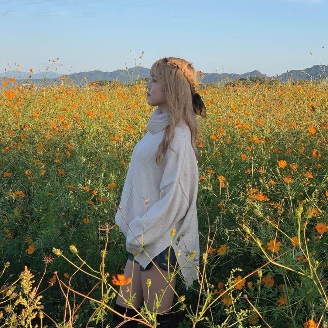 MANA（宮本茉奈）のインスタグラム：「#新庄コスモス園﻿  家族旅行２日目☺ ︎黄色のコスモスがいっぱい、かわいい  最近、昔よりも 静かに景色や花を眺める楽しさを感じれるようになったので 歳を重ねたんだなぁ、と。笑 ﻿ #コスモス畑 #滋賀県観光 #滋賀観光 #滋賀旅行 #滋賀県大津市 #滋賀コスモス #ニーハイブーツ #コスモス #guess #はなまっぷ #しがトコ #滋賀のいいとこ﻿ #japan_daytime_view #photo_jpn #ptk_japan #bestphoto_japan #daily_photo_jpn #nipponpic #impressive_gallery #photo_shorttrip #photo_travelers #japanesecalligraphy #beautiful_photo_jpn #japan_vacations」
