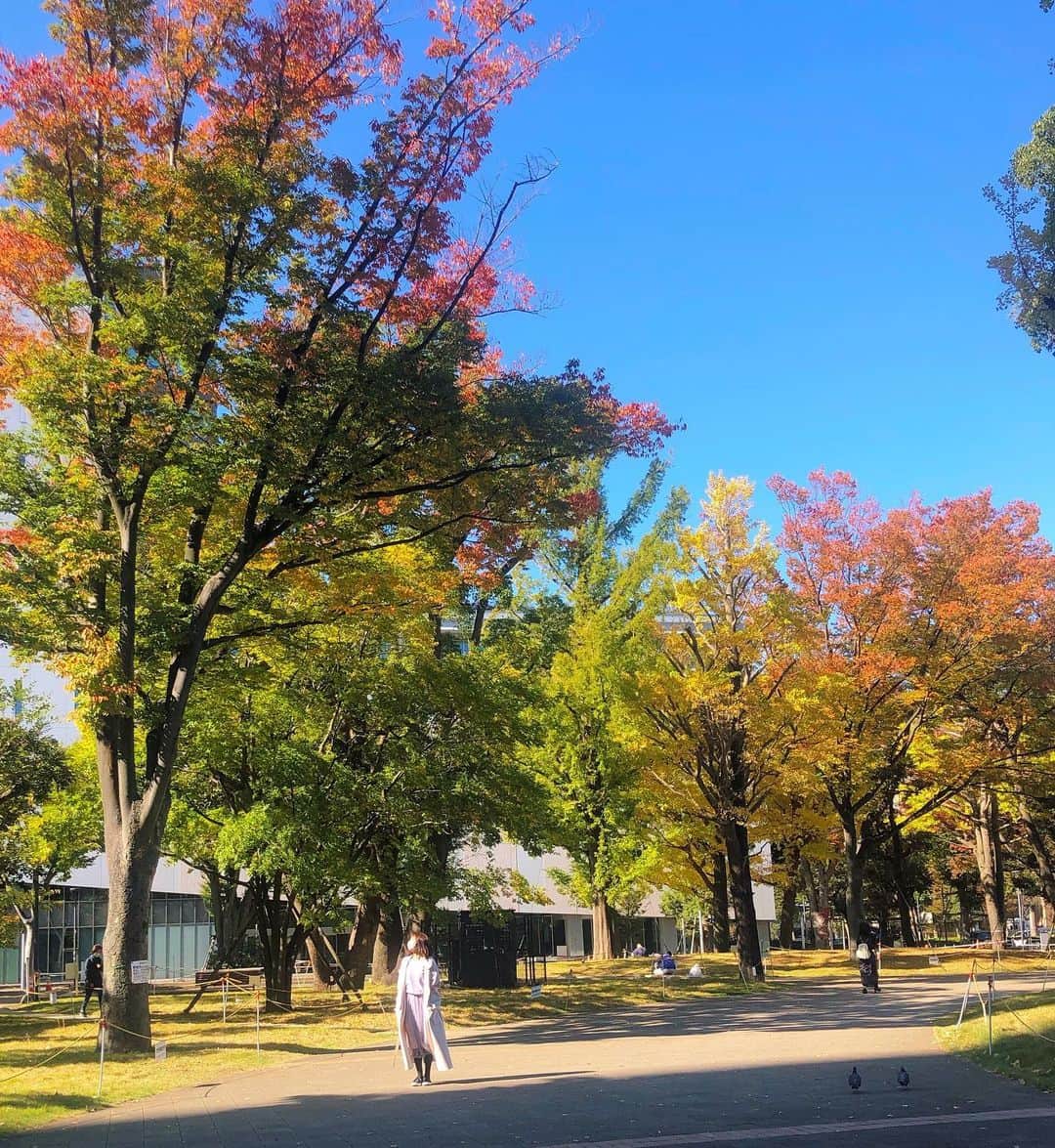 折原みかさんのインスタグラム写真 - (折原みかInstagram)「いつも10時開店のお店がコロナのため営業時間短縮で11時から…💦  開店を待つ間、ちょっぴりお散歩へ… よく晴れた朝で青空が澄んでいて気持ちが良かったです。 最初は気づかなかったのですが、空を見上げたら 木々がほんのりと色づいていました。 紅葉の季節なんですねぇ🍁🍂  これからの季節は少し分厚い羽織りものを着てお散歩するのが楽しいですね☺️  #日本の四季折々 #紅葉　#秋　#公園　#おりさんぽ　#お散歩　#よく晴れた朝　#景色　#followmeto #中野　#中央線カフェ #パンケーキ　#サーロインステーキ　#モーニング　#cafe #j.s.pancakecafe #セントラルパーク」11月5日 20時24分 - mikaorihara