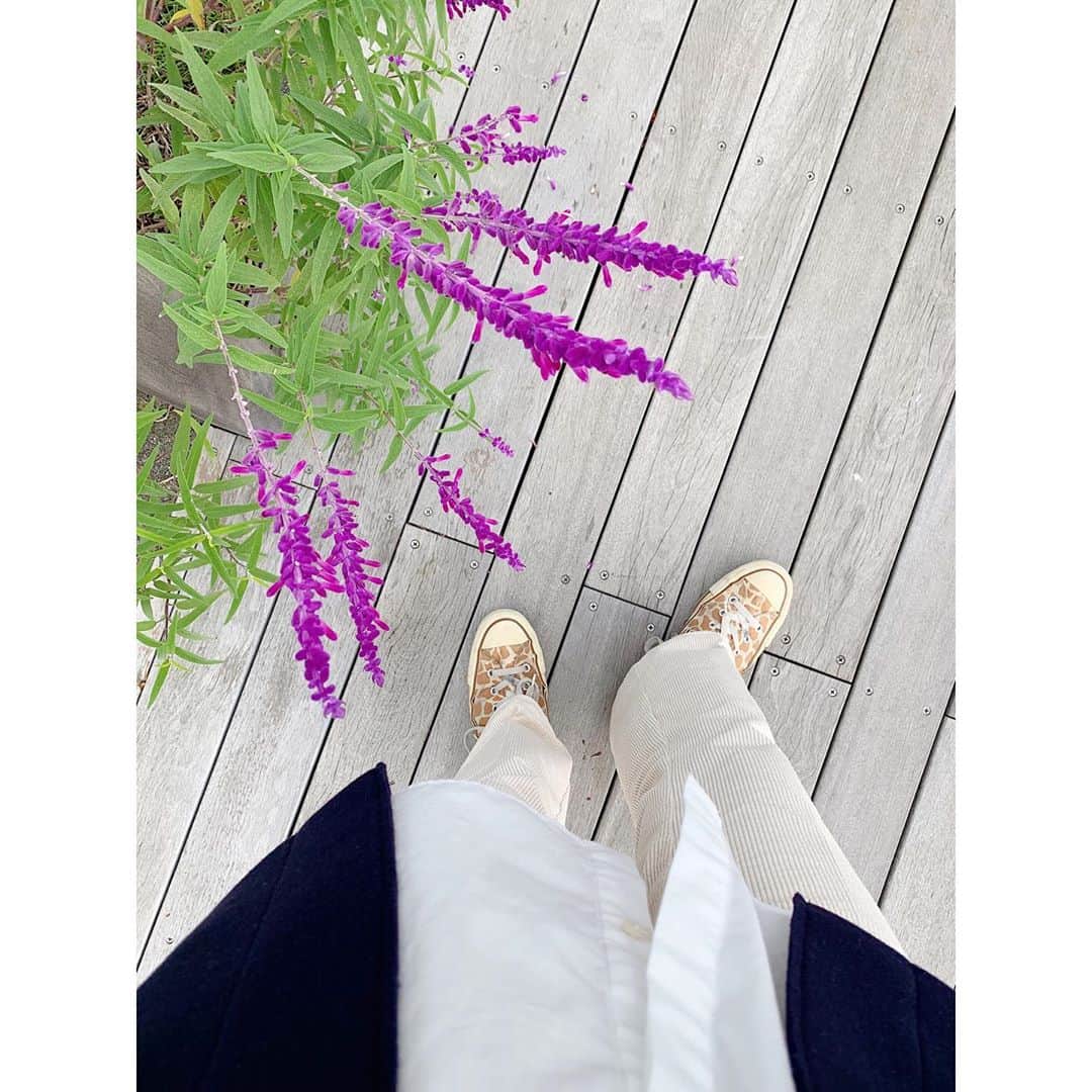 川島幸恵さんのインスタグラム写真 - (川島幸恵Instagram)「💜💜💜﻿ ﻿ ﻿ #SHENERY_official﻿ #flower #flowers﻿ #purple #green﻿ #sneaker #converse #usa #fashion #styling」11月5日 20時32分 - sachie118