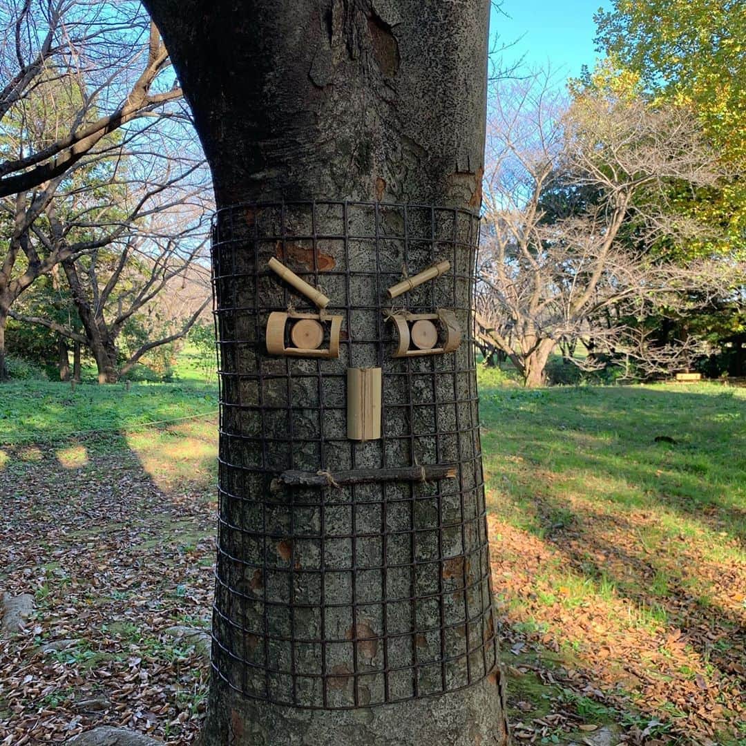 江口ともみさんのインスタグラム写真 - (江口ともみInstagram)「視線を感じる。。。  #fumofumosan #フモフモさん  #もぐたろう #昭和記念公園#木に顔」11月5日 20時59分 - tomomin.eguchi