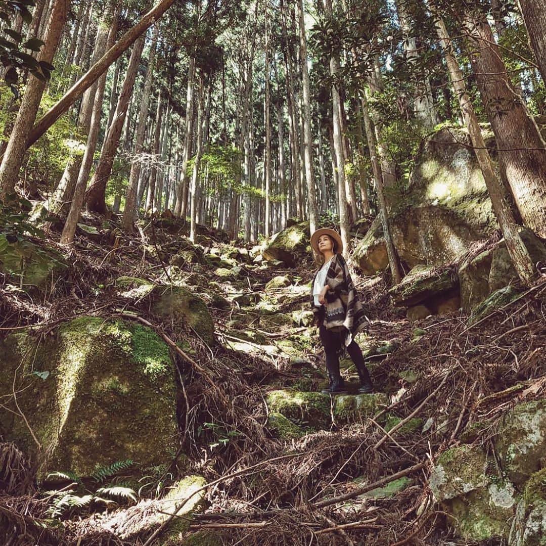 チアコマのインスタグラム：「. . 森🌳w . . #三重県　#mie #japan #beautifulview #beautifulplace」