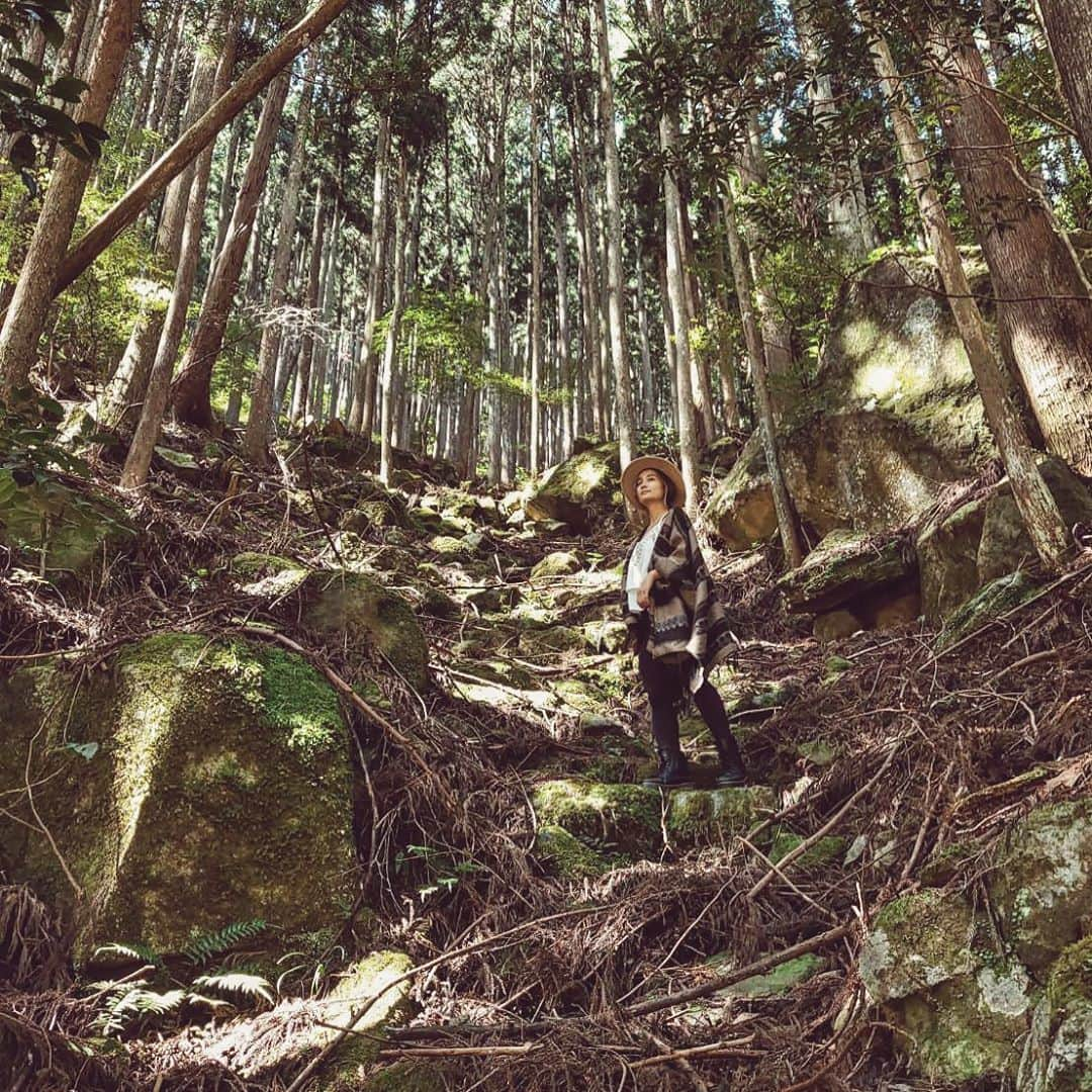 チアコマさんのインスタグラム写真 - (チアコマInstagram)「. . 森🌳w . . #三重県　#mie #japan #beautifulview #beautifulplace」11月5日 21時05分 - chia_koma