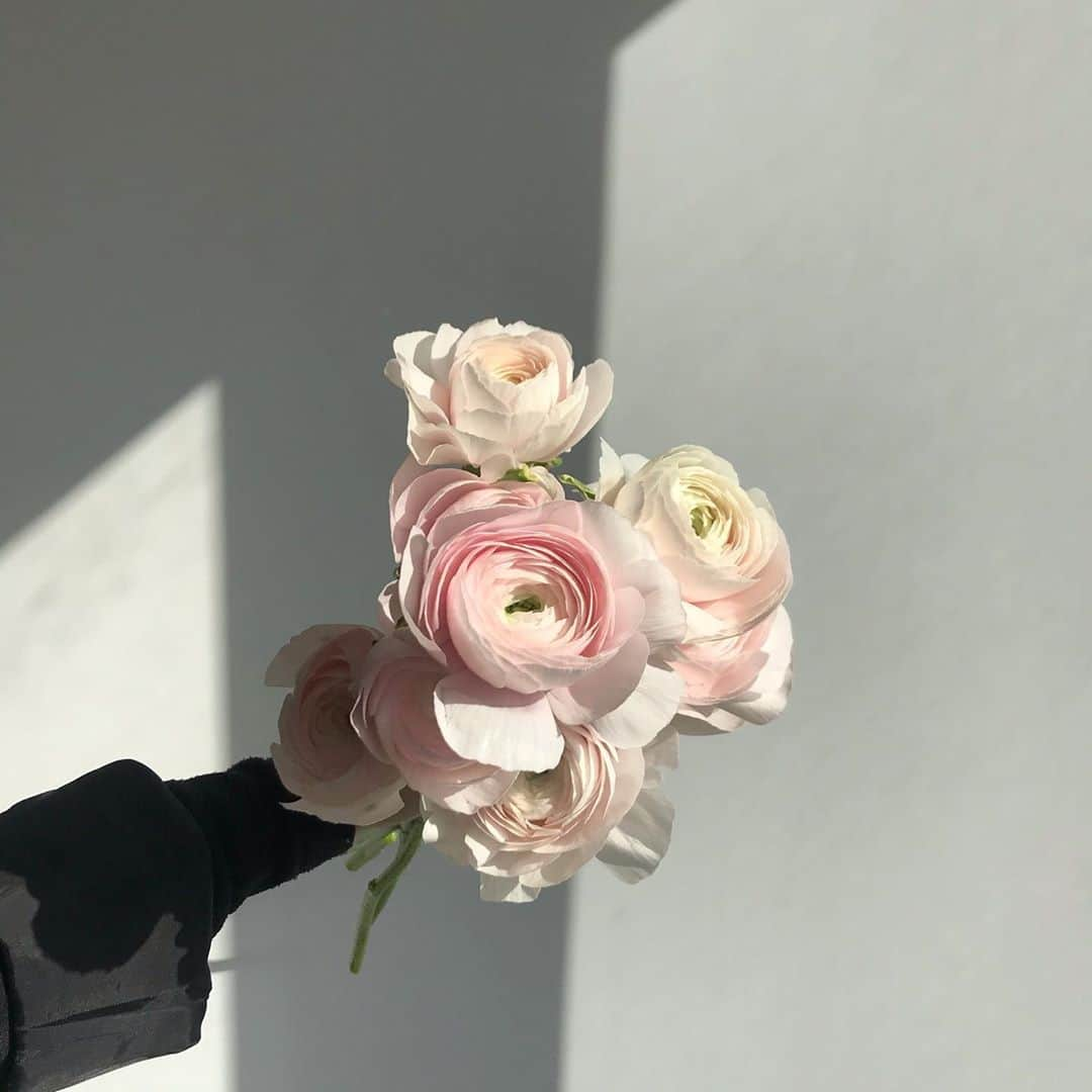 플로리스트 이주연 florist Lee Ju Yeonのインスタグラム