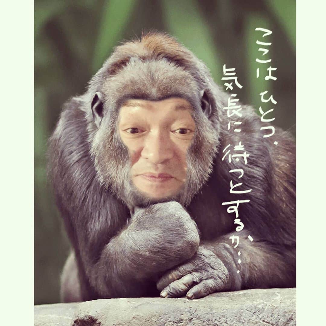 松本隆博のインスタグラム：「。 ほぼほぼ準備し尽くした。 歌も練習した(^○^)。 資料も印刷して纏めもした。 体メンテもした温泉も入った。  今の気分は… ｢人事を尽くして天命を待つ｣  ～人生遊歩道～」