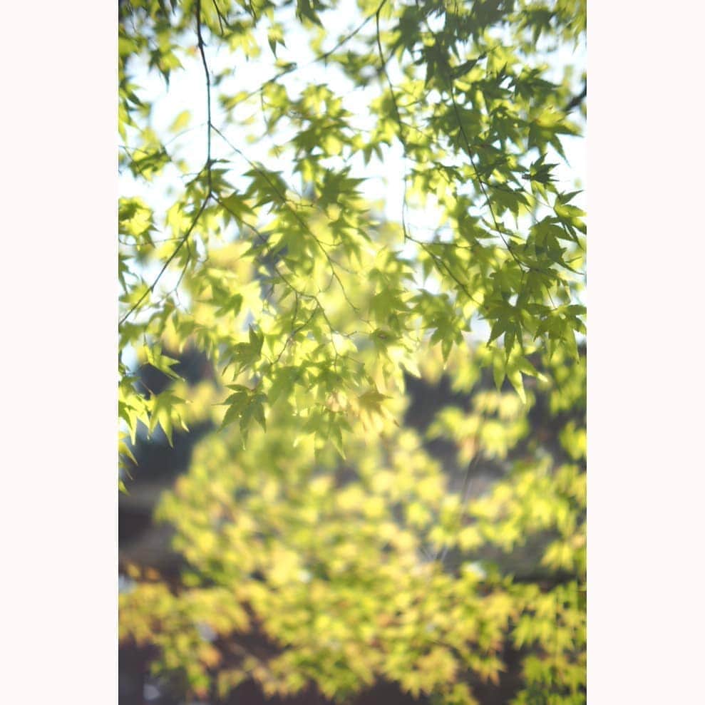 花澄のインスタグラム