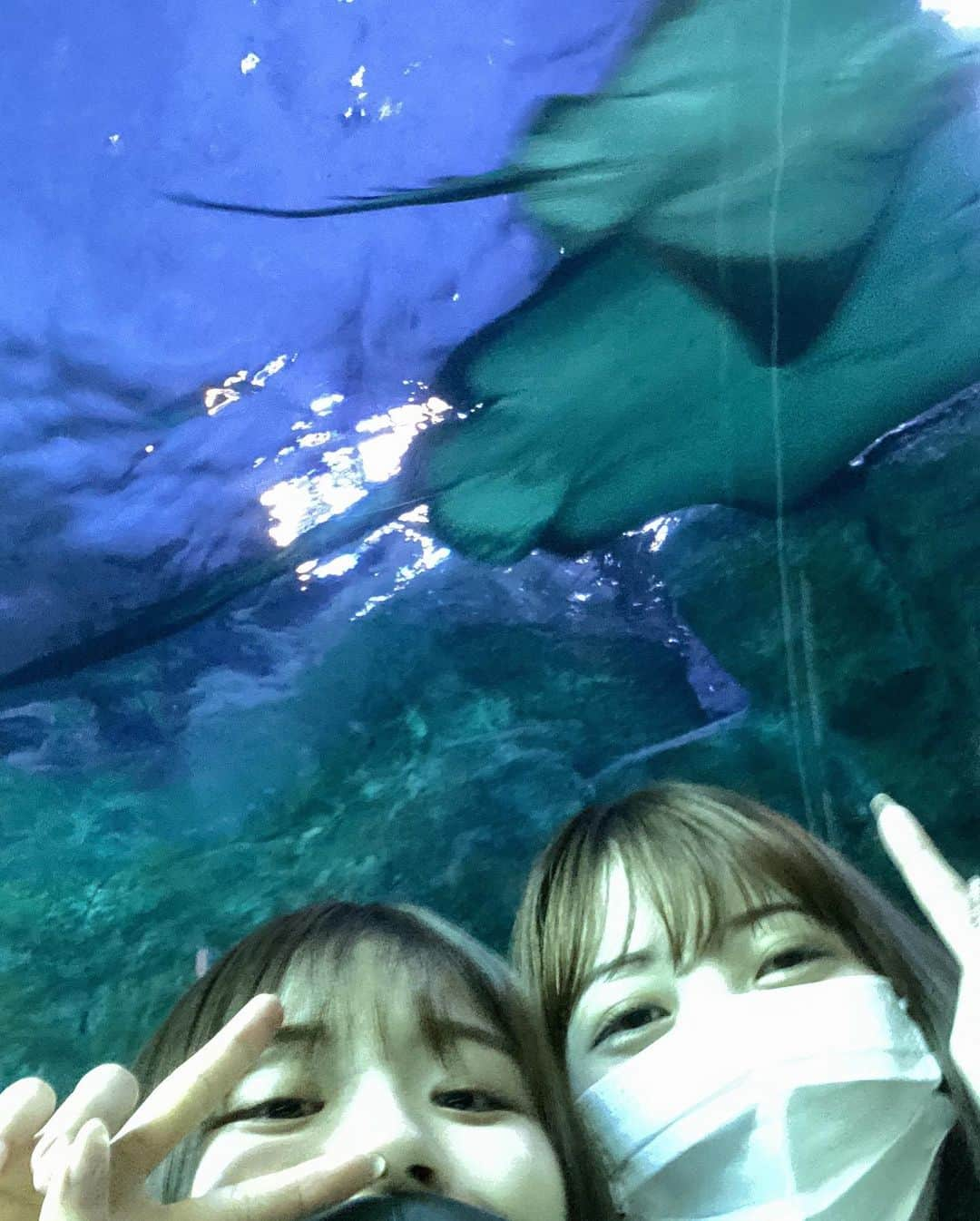 清司麗菜さんのインスタグラム写真 - (清司麗菜Instagram)「マリンピア日本海デート🐬❤️ . 大好物のウニ初めて素手で触った🥺 . #新潟水族館マリンピア日本海」11月5日 22時01分 - seiji_0007