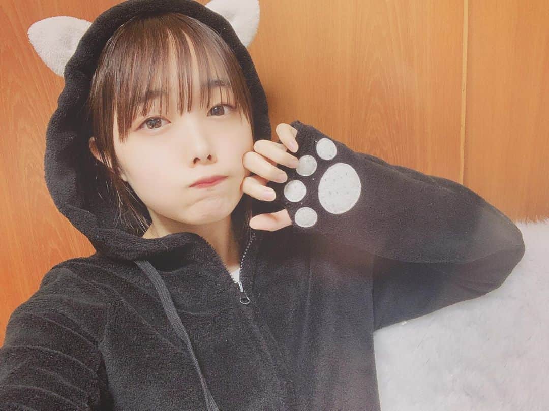 Dorothy Little Happyのインスタグラム：「木曜日 ・ ・ おばんべこ ・ ・ にゃんにゃん🐾 そんなInstagramな日 ・ ・ 別ショットをインスタに 載せておきます♡ ・ ( •ω•ฅ)ﾆｬｰ🐾🐾 #dorothylittlehappy」