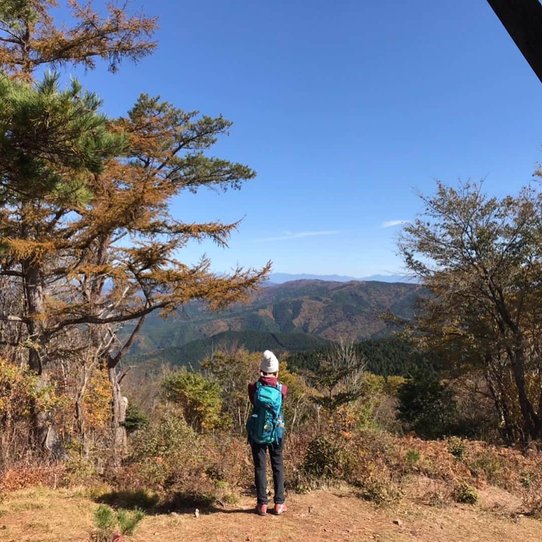 イレーネさんのインスタグラム写真 - (イレーネInstagram)「2020 平日登山部やっと初登り⛰ @rocca39_myao ちゃんありがとう😊 これ以上ない絶好の山日和でした 山頂からは南アルプスの山々、そして富士山もこんにちは！ . 夏にも訪れた寧比曽岳 紅葉シーズンも最高！ふかふか、さくさく、秋の絨毯は膝にも優しい... . 山はもちろんだけど、何よりわたしはR153を愛しております...。グリーンロード〜足助〜稲武あるいは奥三河へとドライブする時間が大好き。目的地と同じくらい道中が最高。今日は助手席でしたが、いつもずーっとドライブしていたくなっちゃうのですよね。 . 山の中は、ちょうど周辺で間伐作業をしていたからなのか、ヒノキの香りが本当に凄くて、もはや本物のヒノキ以上でディフューザーでも焚いているのかなってレベルで癒されました😂 . 寧比曽岳は名古屋からもアクセス良いし、手軽に行けるので本当におすすめ  #平日登山部 #寧比曽岳  #愛知県  #愛知の山  #豊田市  #奥三河  #ハイキング  #秋  #登山  #イレトリップ #地産地消」11月5日 22時10分 - irenedewald