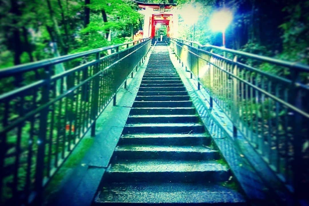 大山恵理乃さんのインスタグラム写真 - (大山恵理乃Instagram)「#京都 #伏見稲荷大社﻿ 果てしなく続く千本鳥居の頂上へ。﻿ ﻿ ﻿ 目に映る景色は美しき。﻿ 体に残る力は限界なり。﻿ ﻿ 山ひとつ分を登るわけで。﻿ めためたしんどい(￣∇￣;)﻿ ﻿ ﻿ pic③→途中で出逢ったニャンニャンは、﻿ 　　　ここにいるからなのか、﻿ 　　　コンコンみたいな顔に見えるのは私だけか？﻿ ﻿ ﻿ pic⑤→頂上！﻿ 　　　がんばって笑てるけどゼーハーしてる。﻿ ﻿ ﻿ でも達成感！﻿ ﻿ ﻿ photographer﻿: @eristavi_official  ﻿ ﻿ #女子旅 #伏見稲荷一ノ峰 #上社神蹟 #日本の絶景 #日本の景色  #猫スタグラム ﻿ #쿄토 #쿄토여행 #일본 #일본여행 #여행스타그램﻿ ﻿#후시미이나리신사 #고양이  #japan #kyoto #kyotojapan #kyototrip #retrip_kyoto #japantravel #japantrip #travelphotography #japan_of_insta #otonatabi_japan #japantravelphoto #photo_travelers ﻿ #fushimiinaritaisha #catstagram #千本鳥居」11月5日 22時19分 - erino_ohyama