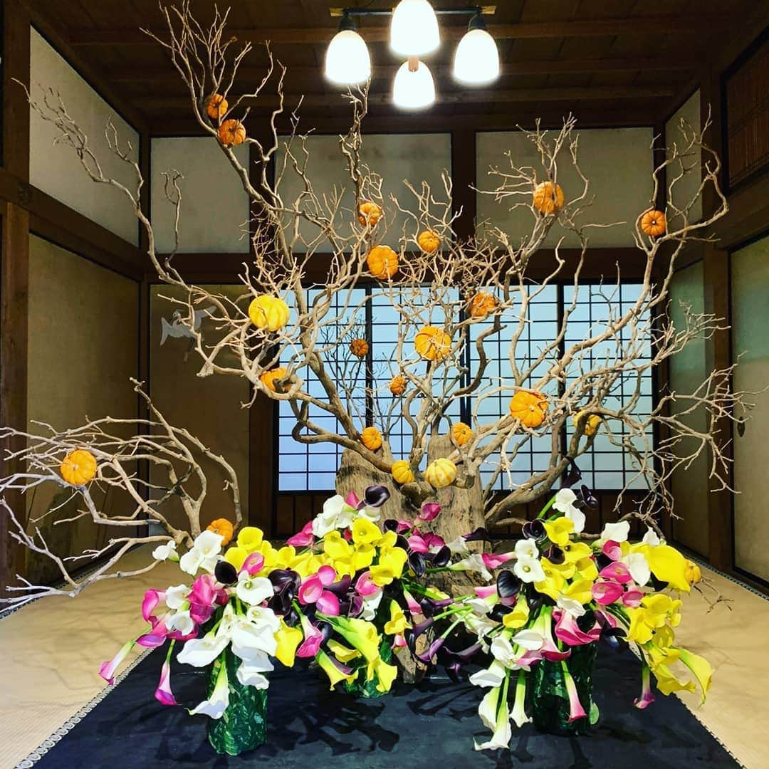 假屋崎省吾さんのインスタグラム写真 - (假屋崎省吾Instagram)「日光東照宮美術館個展 11/23㈪まで！  #假屋崎省吾の世界展 #フォトジェニックスポット #おはな #美しい #家族旅行 #芸術 #きれい #最高 #日光東照宮」11月5日 22時30分 - shogo_kariyazaki_official