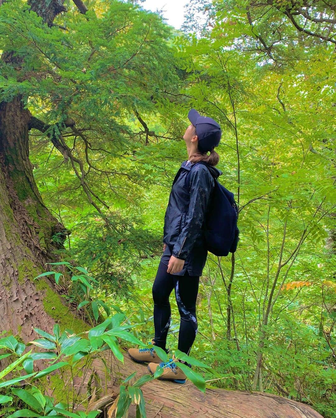 上杉あずさのインスタグラム：「. 壮大な #木登り #🌲  . #mountain #climbing #climber #mt #where #tree #nature #green #forest #before #training #oze #japan #yama #yamap #photo #tourism #eco #ecotourism #naturalpark #newbalance #columbia #nike #roxy」
