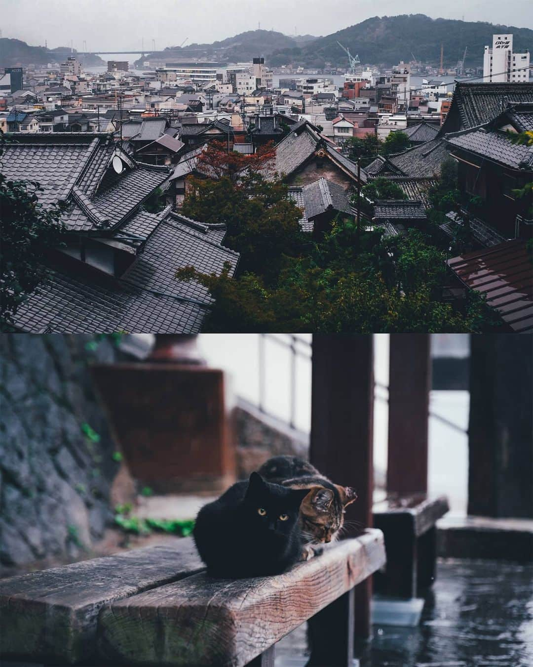 Takashi Yasuiさんのインスタグラム写真 - (Takashi YasuiInstagram)「Onomichi」11月5日 22時40分 - _tuck4