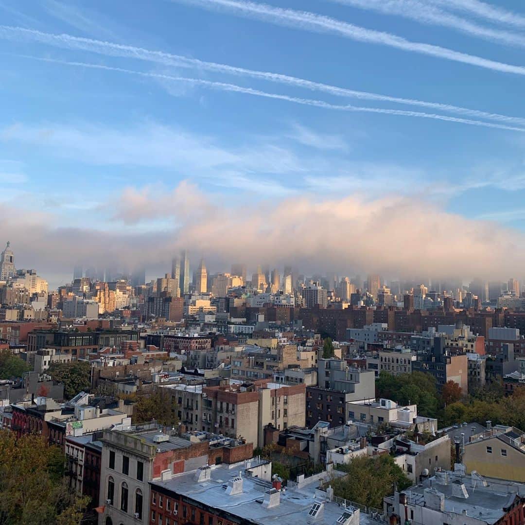 オランピアルタンのインスタグラム：「Lots happening in the sky this morning... 🦋☁️🛩☁️🏙 #i💙ny」