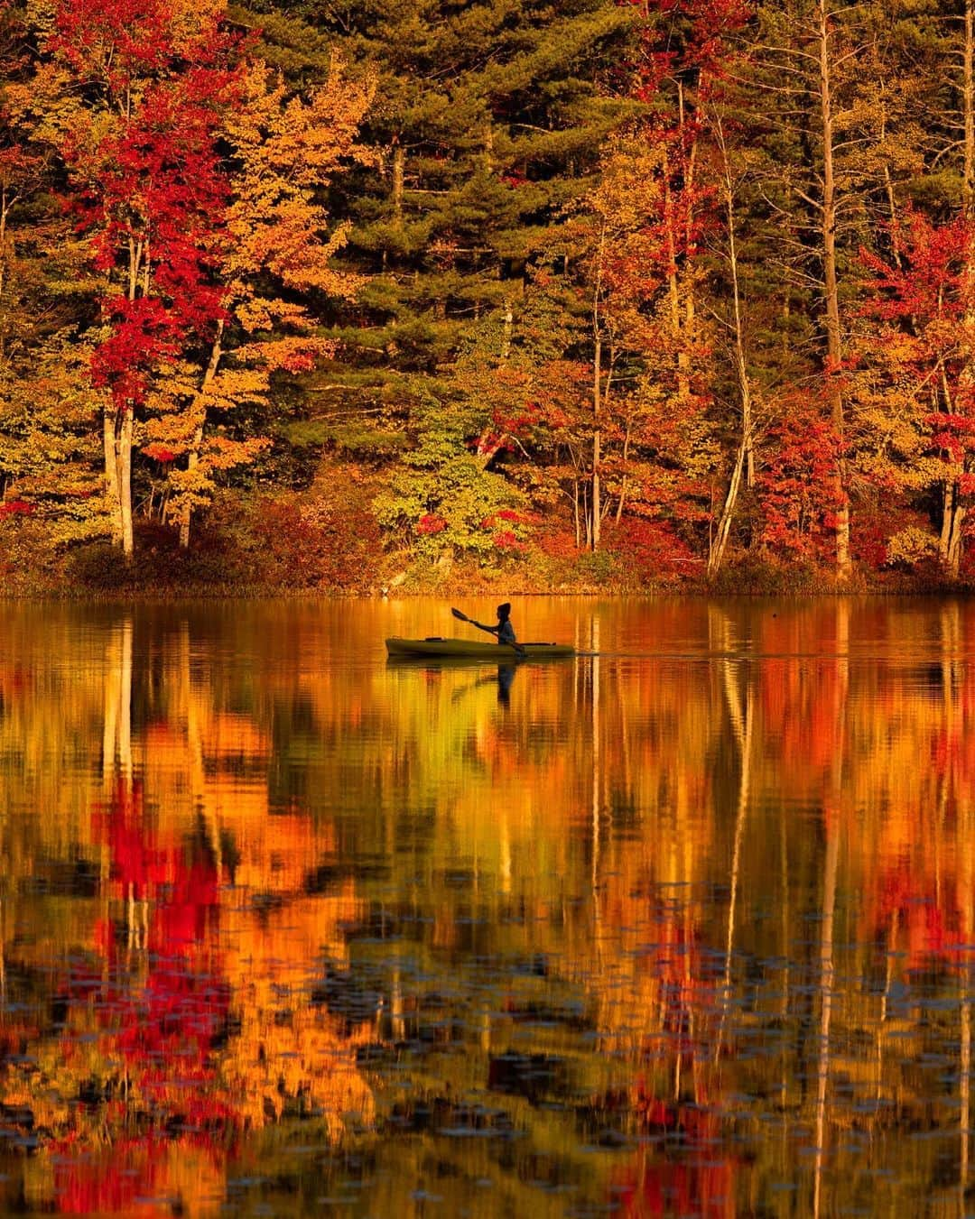 CANON USAさんのインスタグラム写真 - (CANON USAInstagram)「Photo by @nathanleeallen "It’s crazy how on a trip, plans can change in a blink of an eye. We had actually planned to shoot another pond the morning of this shot and drove by this one on the way. It looked perfectly still and glassy, with the fall foliage mirrored in the water and the morning mist blanking the pond's surface. We assumed the other pond would look the same.  However, when we got to the pond we had originally planned for, conditions were super choppy and windy, so we all decided to hightail it back to the other pond, and I’m so glad we did. The shots turned out fantastic and the foliage around the pond was so wonderful to shoot. Not ashamed at all, but I took over 1000 images that morning.  Now, how did I capture this shot, what gear did I use, and what were my camera settings? I used the new @canonusa EOS R6 full-frame mirrorless camera with the Canon RF 70-200mm f/2.8L IS USM lens to capture this shot. The fast Dual Pixel CMOS of the EOS R6 combined with RF 70-200mm f/2.8 made this shot possible and allowed me to compress my subject on the lake and capture a sharp image, even when she was moving quickly throughout the water (Thanks, @eyeofshe, I know it was cold out there)."   #eosr6 #cocreatewithcanon #canonusa」11月5日 23時02分 - canonusa