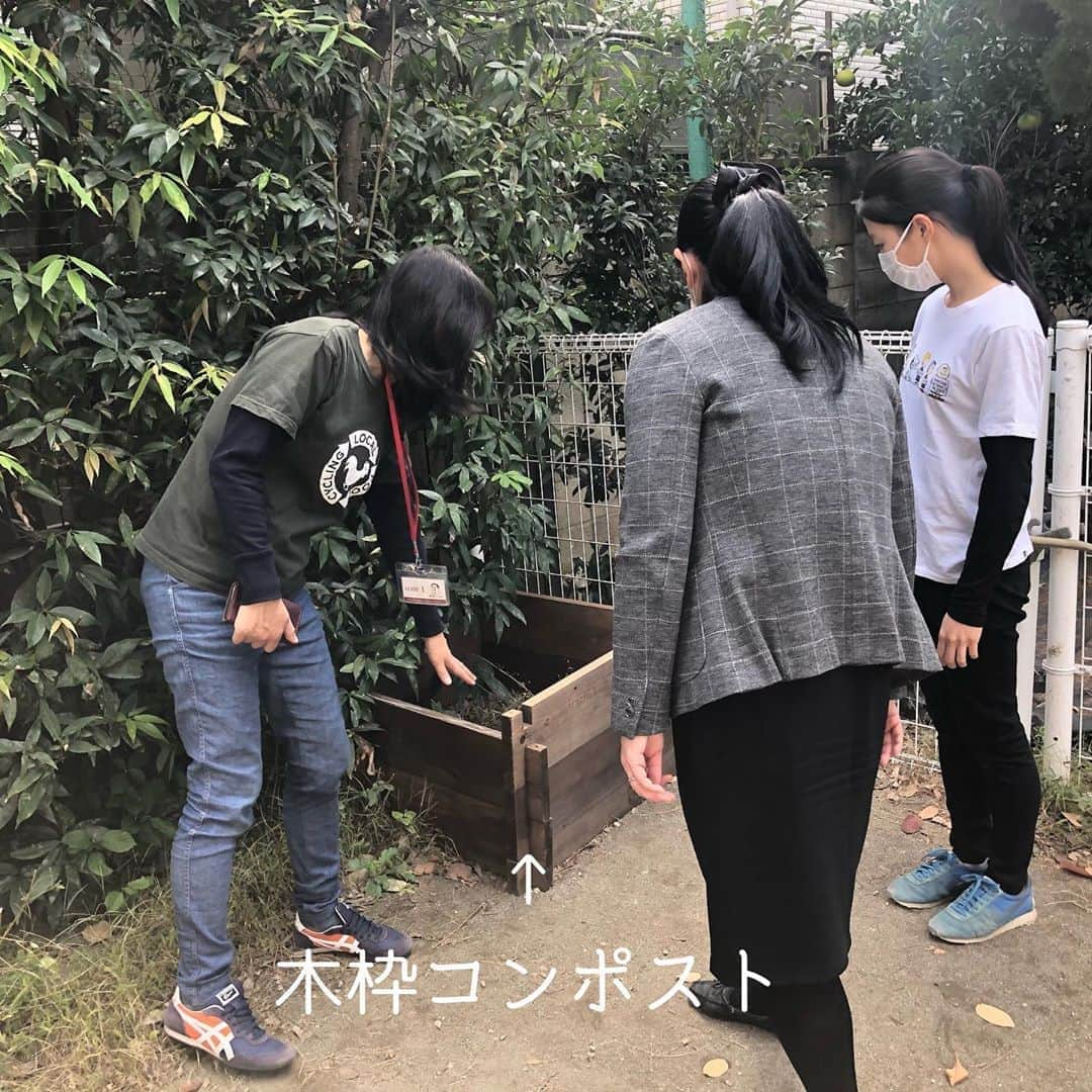 奥村奈津美さんのインスタグラム写真 - (奥村奈津美Instagram)「母校♡ 新渡戸文化子ども園 （前身の東京文化幼稚園に通っていました♡） でのコンポストの取り組み♡  LFCのたいらさんにお誘い頂き、 見学に行ってきました♪  給食を作るときに出る 野菜クズなどを入れて 年長組の子どもたちが一生懸命 お世話をしているようです♡  @lfc_compost の投稿にも 胸キュン♡とありましたが、  お子さんの中には 給食を前に 「先生、びせいぶつくん食べるかな？」 と、自分が食べるより、 コンポストの中の微生物にあげたいと 思うようになった子どもがいた話など  先生たちから心温まるエピソードを 伺いました♡  園庭には木枠コンポストも（3枚目） こちらには落ち葉を堆肥にする取り組みが行われていたのですが、 たいらさんいわく、 落ち葉は栄養の宝庫🍂 地球にとっては欠かせない肥料になる とのこと。  落ち葉って掃除が大変！というイメージありましたが、 堆肥になる！と思ったら ゴミとして出さずに 地球に返せたら良いですね♡  コンポストを取り入れることは 食育にもなるし、 地球について考えるきっかけにもなるし とっても良い教材になりますね  いろいろな地域で広がりを見せているようなので、また取材してご報告できたら♡  ちなみに！（5枚目） 我が家のベビーリーフちゃんは 本当にマイペースですが、 ゆっくりゆっくり大きくなっています。 10月23日の投稿と比較していただければ大きくなっているの、分かりますかね〜  そして コンポストを使っている皆さま、 始めてみたいなと思っている皆さま、 この基材をダンボール箱へ入れれば コンポストトイレとしても使えるそうです♡  災害時のトイレ問題を解決してくれるかも！！  先日のイベントで 参加者の皆さまと一緒に、 たいらさんに質問攻めしちゃいましたがw トイレ問題だけでなく 根本的な減災にもつながる、 まさにサスティナブルな防災！ 可能性を感じております  YouTubeにも、アップしますし、 またコンポスト×防災のイベントも 企画しますので、お楽しみに♪  ☆*:.｡.┈┈┈┈┈┈┈┈┈┈┈┈┈┈.｡.:*☆  子どもの未来のためにできること  毎週オンラインで防災講座・開催中！  次回は 11/13(金)10 :00〜 赤ちゃんとママを守る防災  ゲストに医師で6児の母 吉田穂波先生をお迎えします♡  プロフィールより 公式LINE登録後 ↓「1113」と📩ください @natsumi19820521  ☆*:.｡.┈┈┈┈┈┈┈┈┈┈┈┈┈┈.｡.:*☆  こんなアカウントも作ってみました♪ ＠natsumiokumura_ana で 安室奈美恵さんの特番に 辿り着くまでのエピソードを ちょっとずつ振り返ってます。  ☆*:.｡.┈┈┈┈┈┈┈┈┈┈┈┈┈┈.｡.:*☆  質問・感想コメント嬉しいです  #コンポスト #コンポスト部 #ベビーリーフ #家庭菜園 #家庭菜園初心者 #ガーデニング #ガーデニング初心者 #子ども園 #新渡戸文化学園 #東京文化幼稚園 #中野区 #lfc #lfcコンポスト #コンポストトイレ #防災 #サスティナブル #サステナブル #sdgs #持続可能な未来へ #食育 #給食 #幼稚園 #保育園 #新米ママ #環境問題  #ゴミ問題 #落ち葉 #アンバサダー #教育 #環境省」11月5日 23時49分 - natsumi19820521